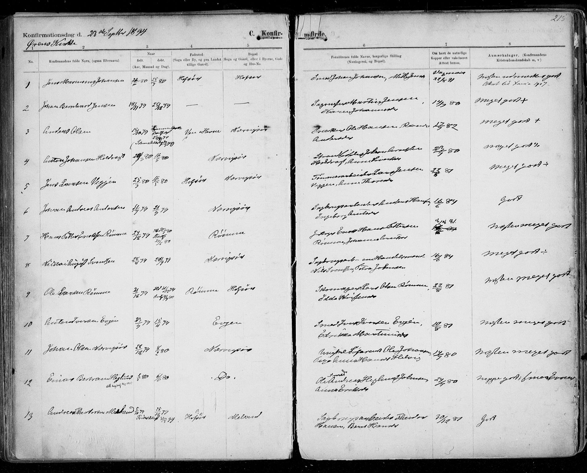 Ministerialprotokoller, klokkerbøker og fødselsregistre - Sør-Trøndelag, SAT/A-1456/668/L0811: Parish register (official) no. 668A11, 1894-1913, p. 215