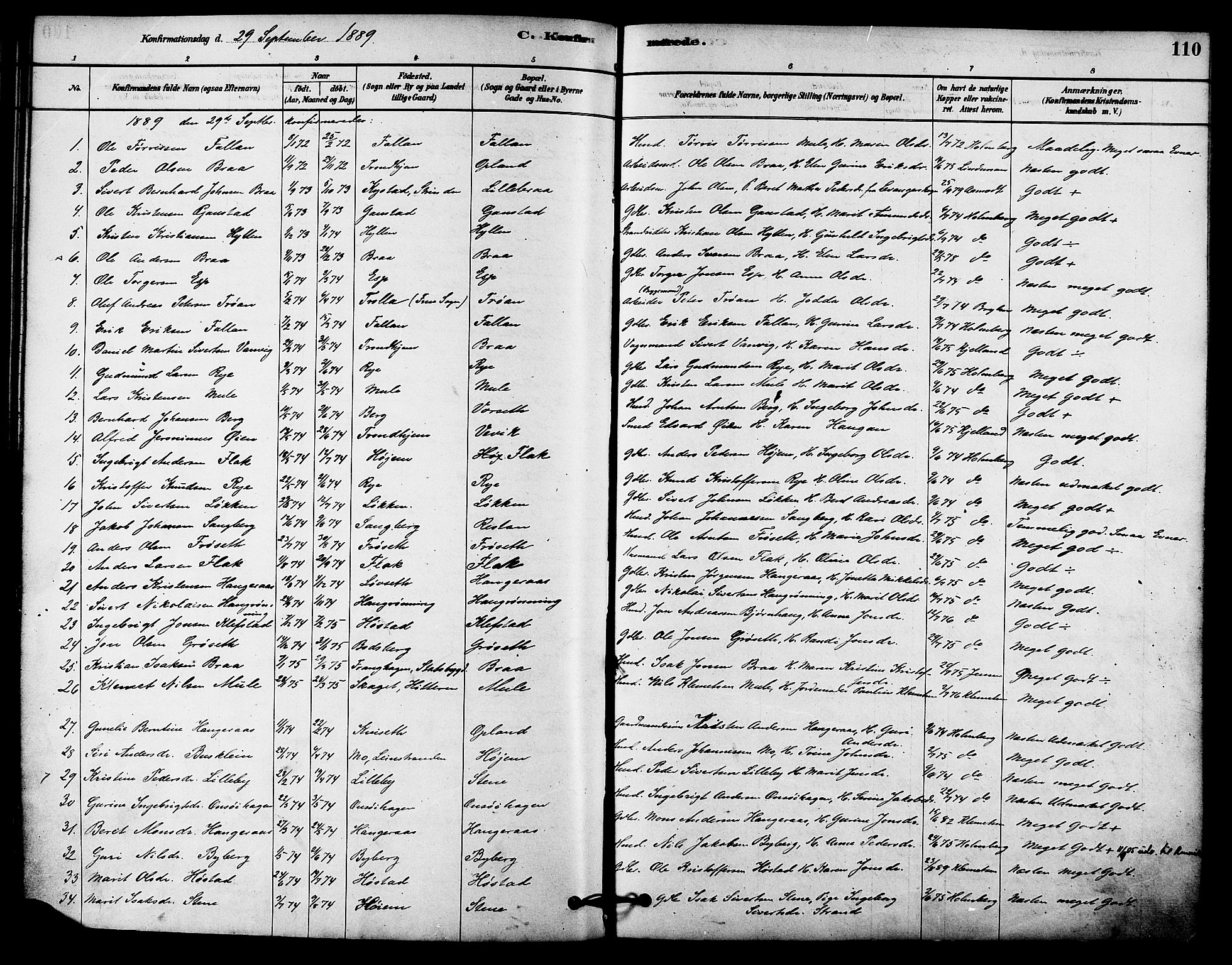 Ministerialprotokoller, klokkerbøker og fødselsregistre - Sør-Trøndelag, SAT/A-1456/612/L0378: Parish register (official) no. 612A10, 1878-1897, p. 110