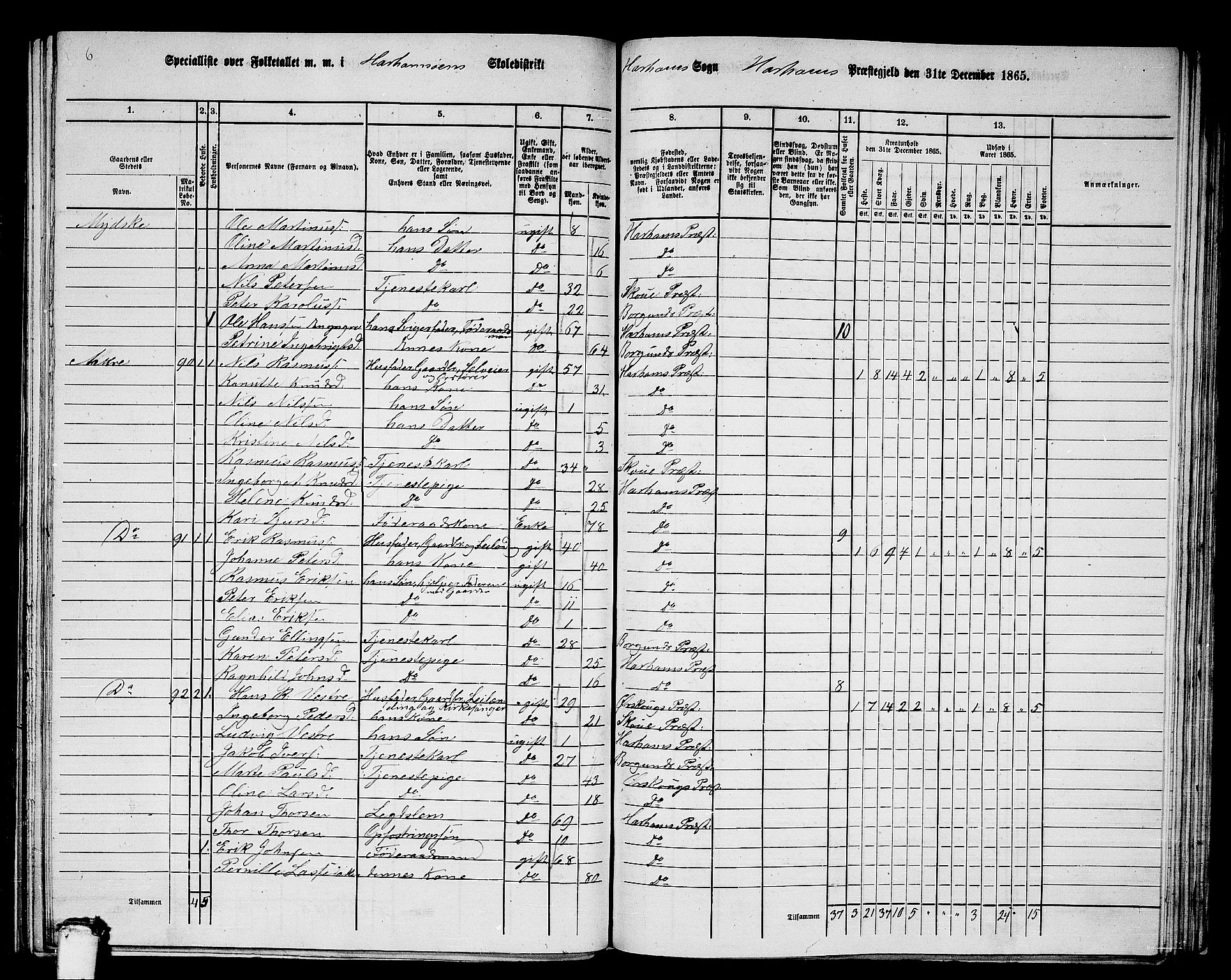 RA, 1865 census for Haram, 1865, p. 45