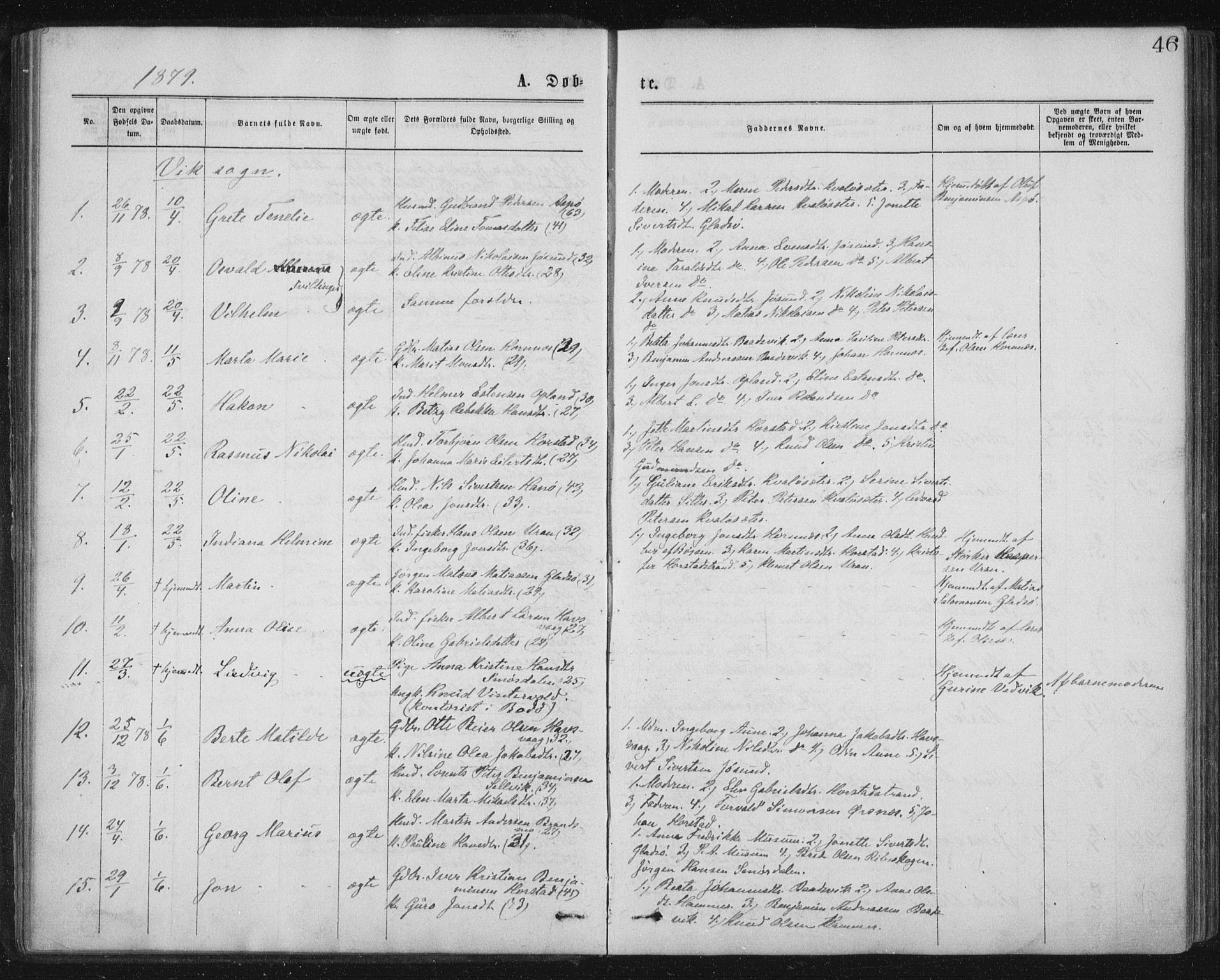 Ministerialprotokoller, klokkerbøker og fødselsregistre - Nord-Trøndelag, SAT/A-1458/771/L0596: Parish register (official) no. 771A03, 1870-1884, p. 46