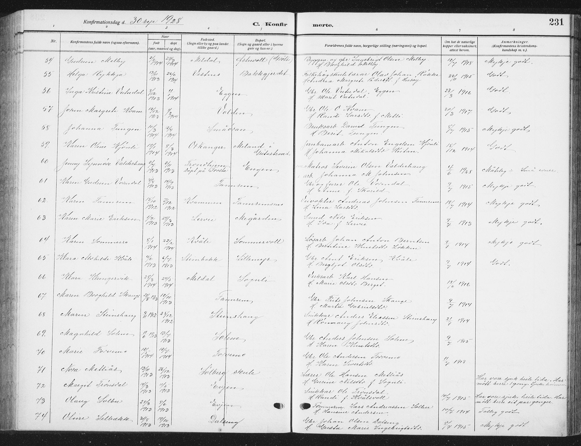 Ministerialprotokoller, klokkerbøker og fødselsregistre - Sør-Trøndelag, SAT/A-1456/668/L0820: Parish register (copy) no. 668C09, 1912-1936, p. 231