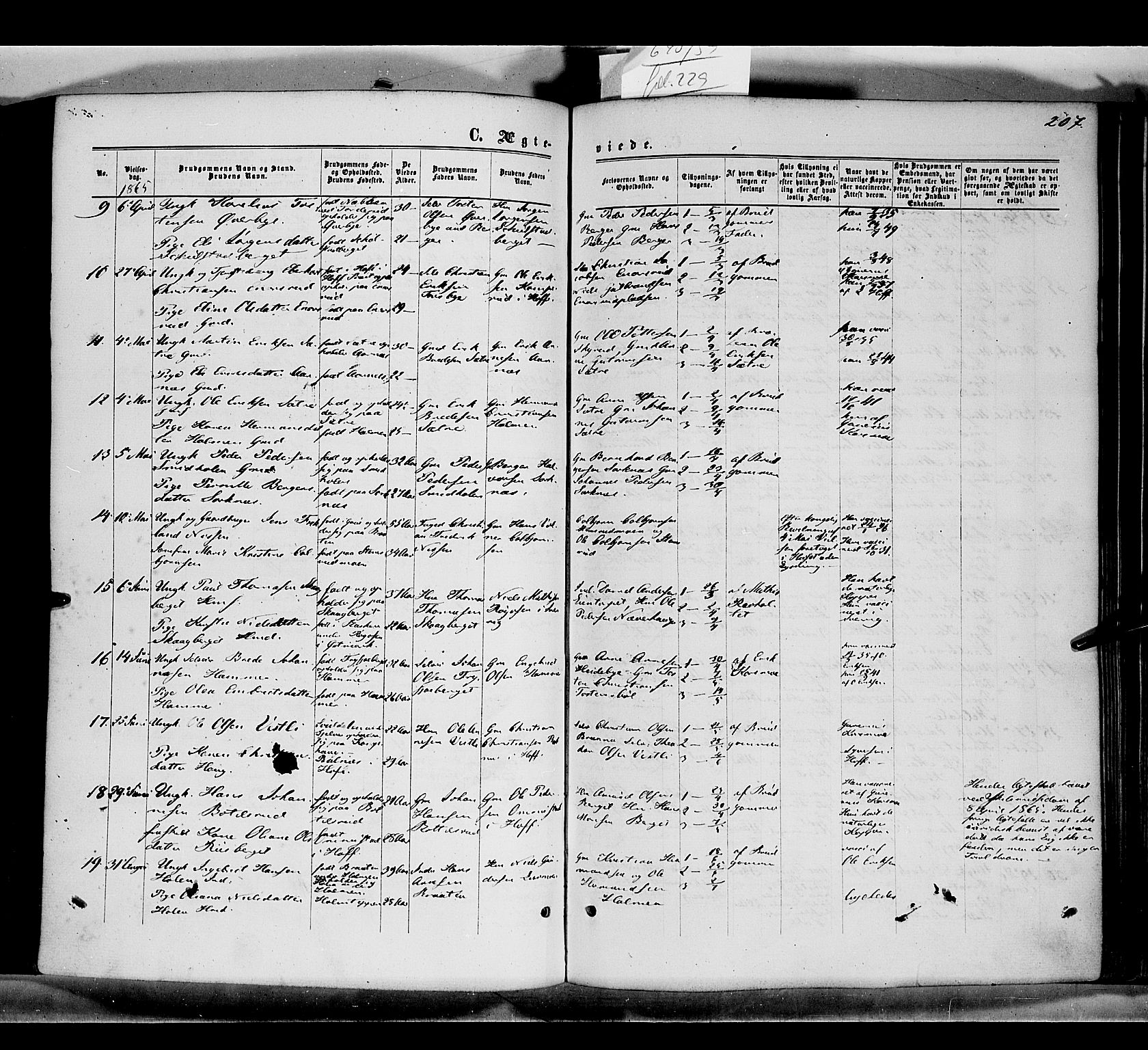 Grue prestekontor, AV/SAH-PREST-036/H/Ha/Haa/L0010: Parish register (official) no. 10, 1864-1873, p. 207