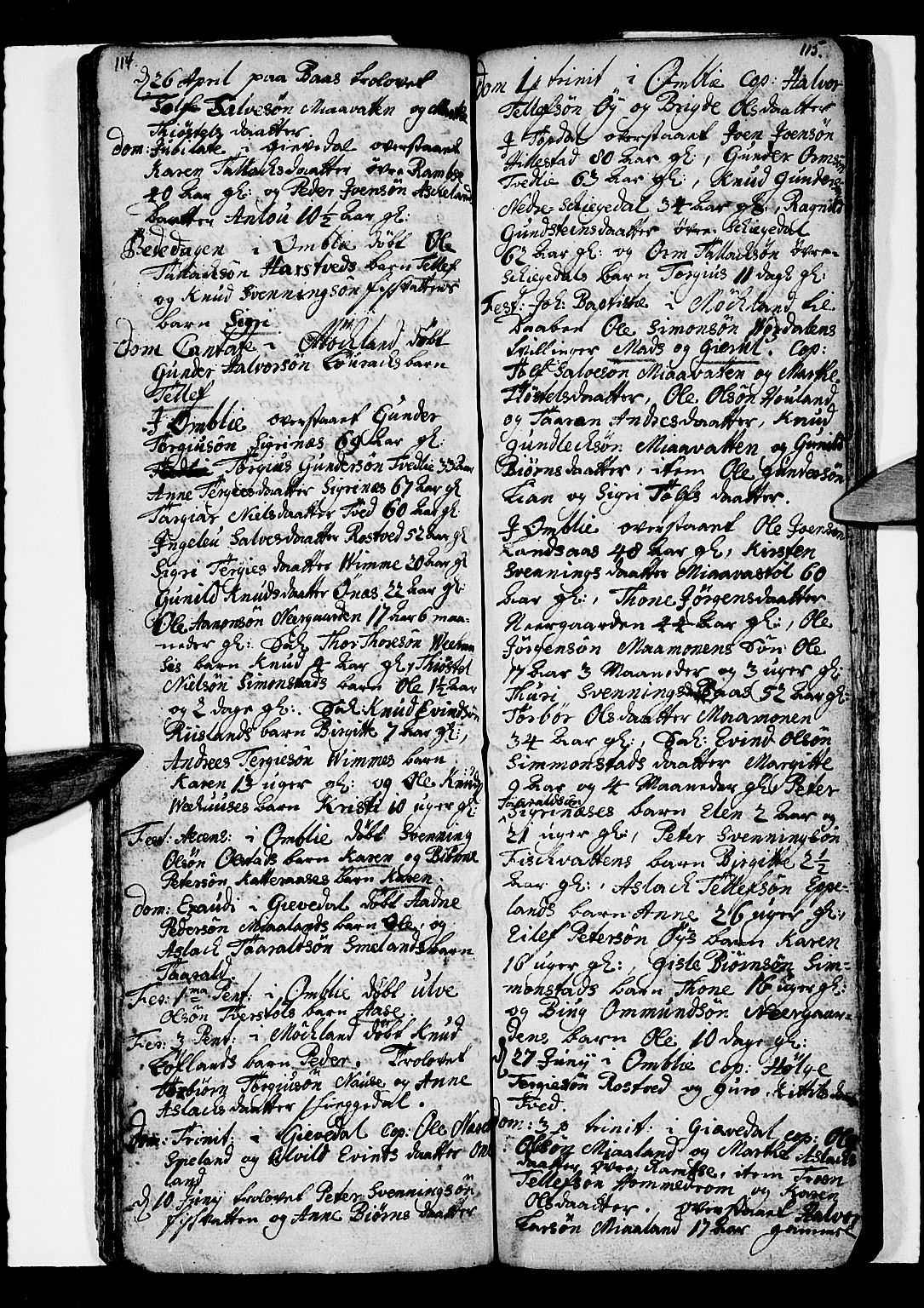 Åmli sokneprestkontor, SAK/1111-0050/F/Fa/Fac/L0001: Parish register (official) no. A 1, 1711-1740, p. 114-115