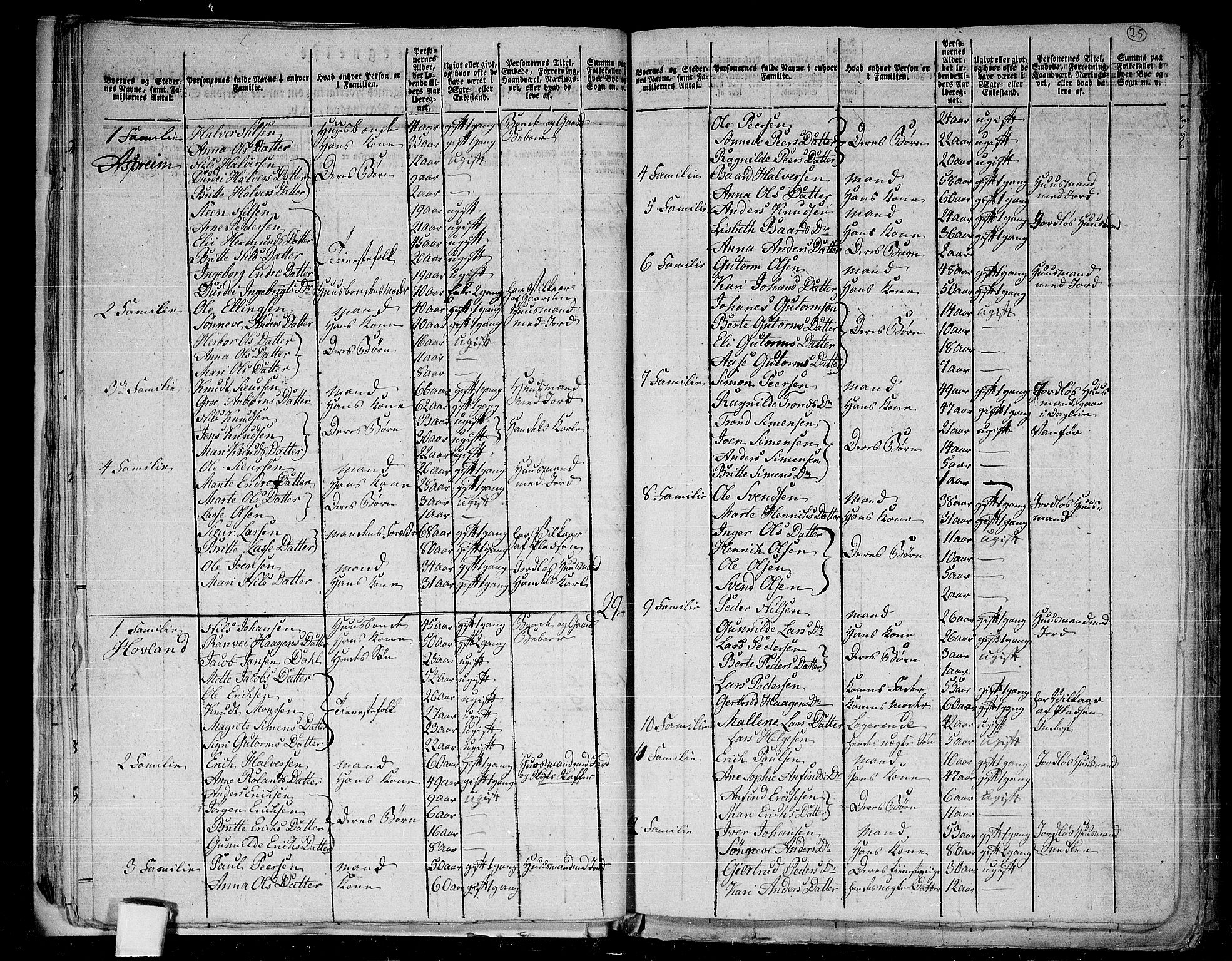 RA, 1801 census for 1422P Lærdal, 1801, p. 24b-25a