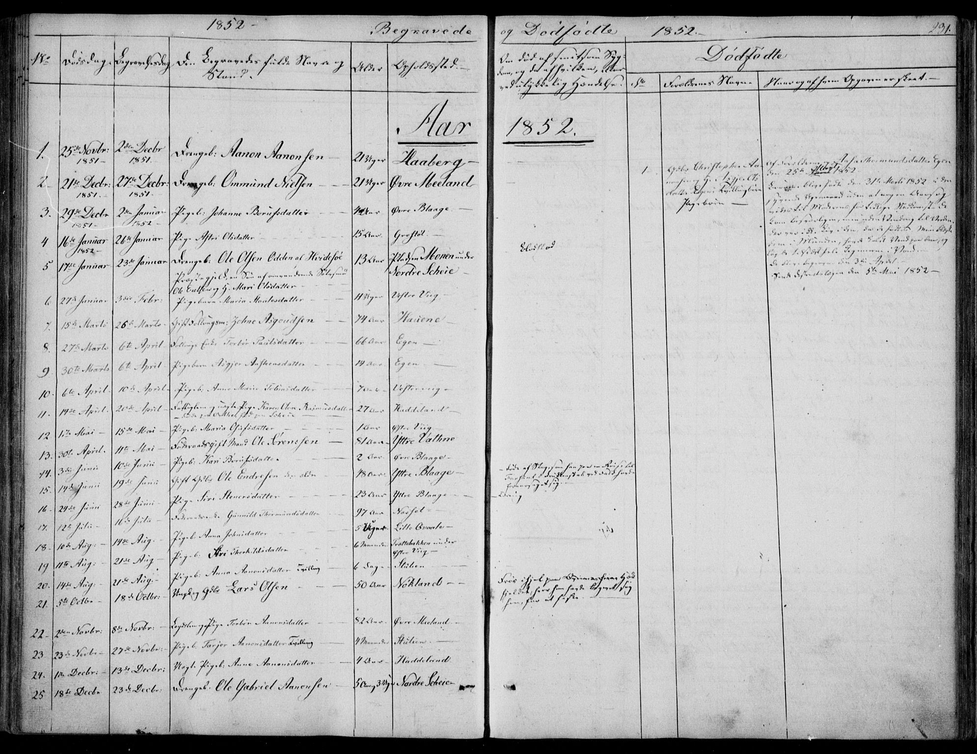 Hægebostad sokneprestkontor, SAK/1111-0024/F/Fa/Fab/L0002: Parish register (official) no. A 2, 1836-1872, p. 231