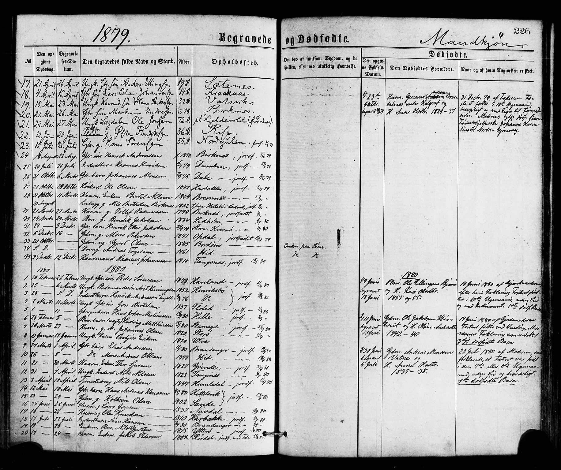 Gulen sokneprestembete, SAB/A-80201/H/Haa/Haaa/L0023: Parish register (official) no. A 23, 1870-1880, p. 226