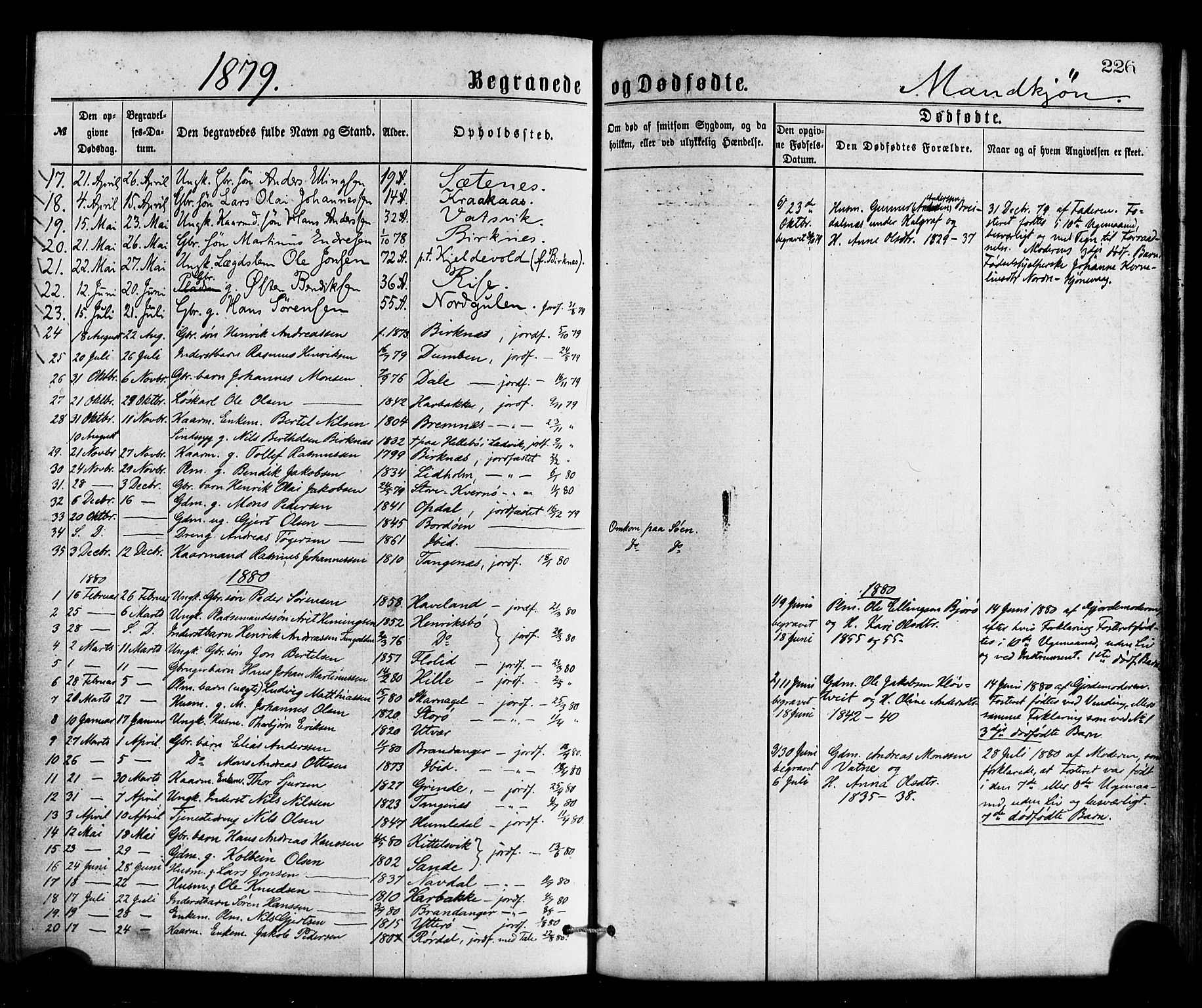 Gulen sokneprestembete, AV/SAB-A-80201/H/Haa/Haaa/L0023: Parish register (official) no. A 23, 1870-1880, p. 226