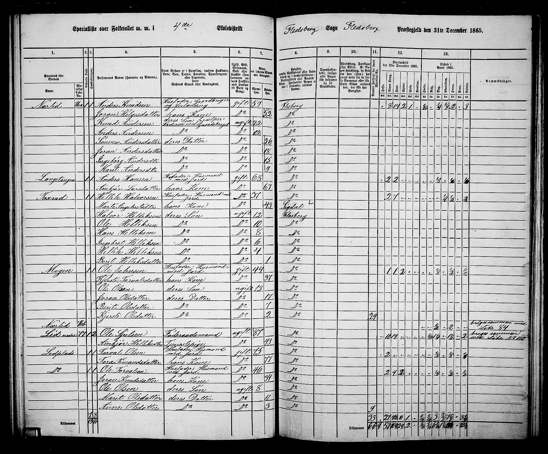 RA, 1865 census for Flesberg, 1865, p. 80