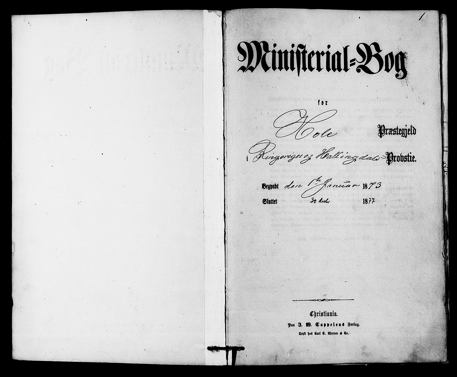 Hole kirkebøker, SAKO/A-228/F/Fa/L0007: Parish register (official) no. I 7, 1873-1877, p. 1