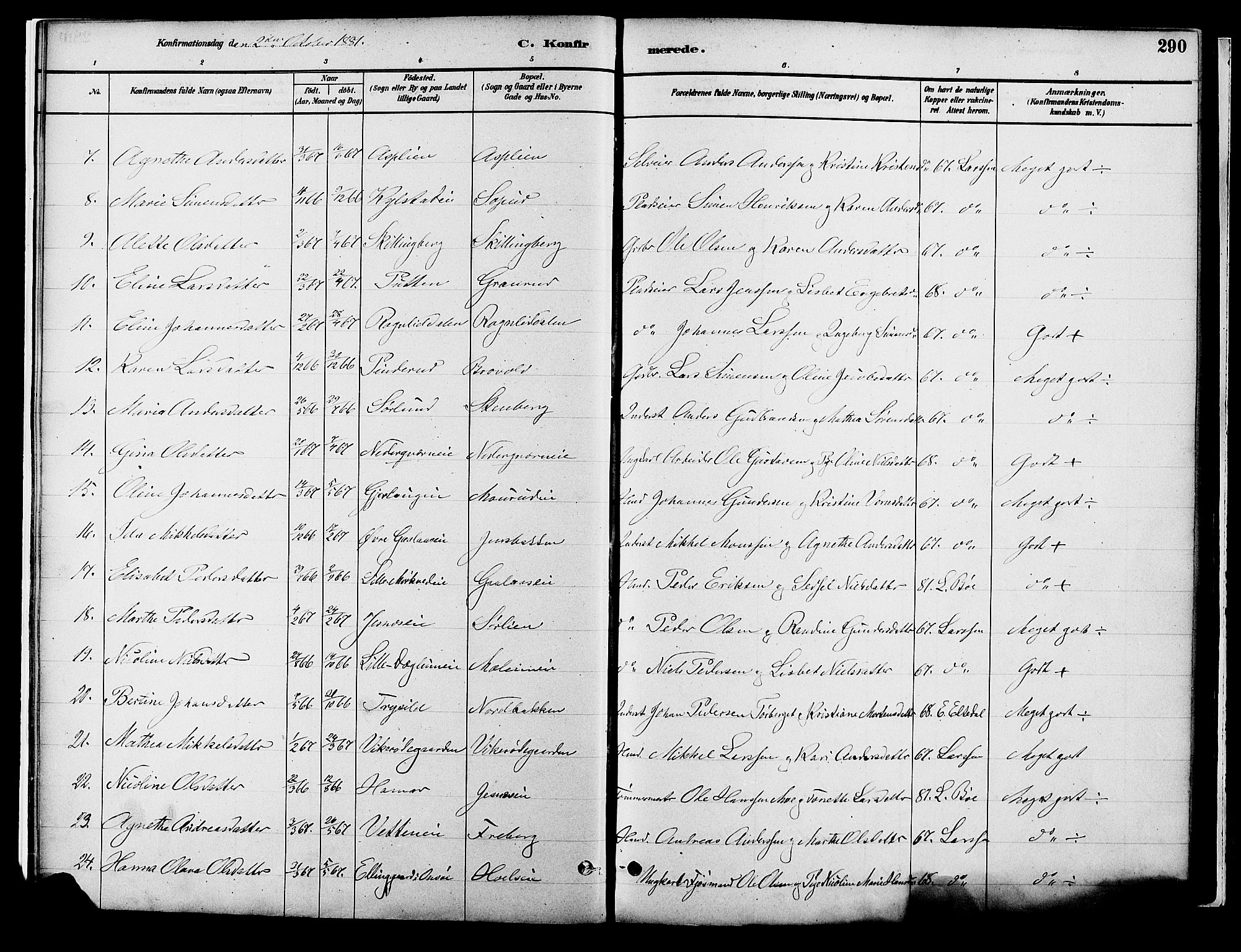 Vang prestekontor, Hedmark, AV/SAH-PREST-008/H/Ha/Haa/L0018B: Parish register (official) no. 18B, 1880-1906, p. 290