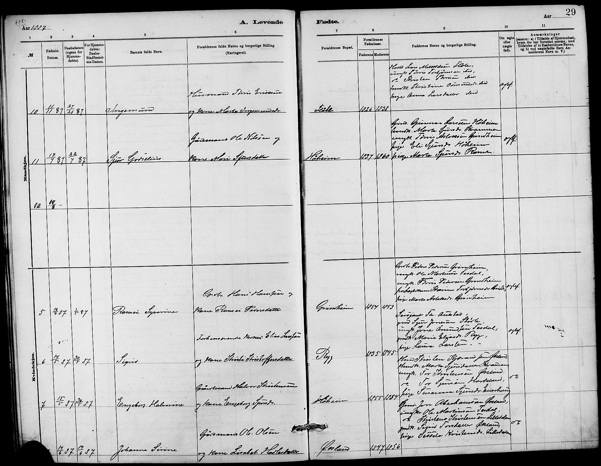 Etne sokneprestembete, AV/SAB-A-75001/H/Hab: Parish register (copy) no. C 4, 1879-1896, p. 29