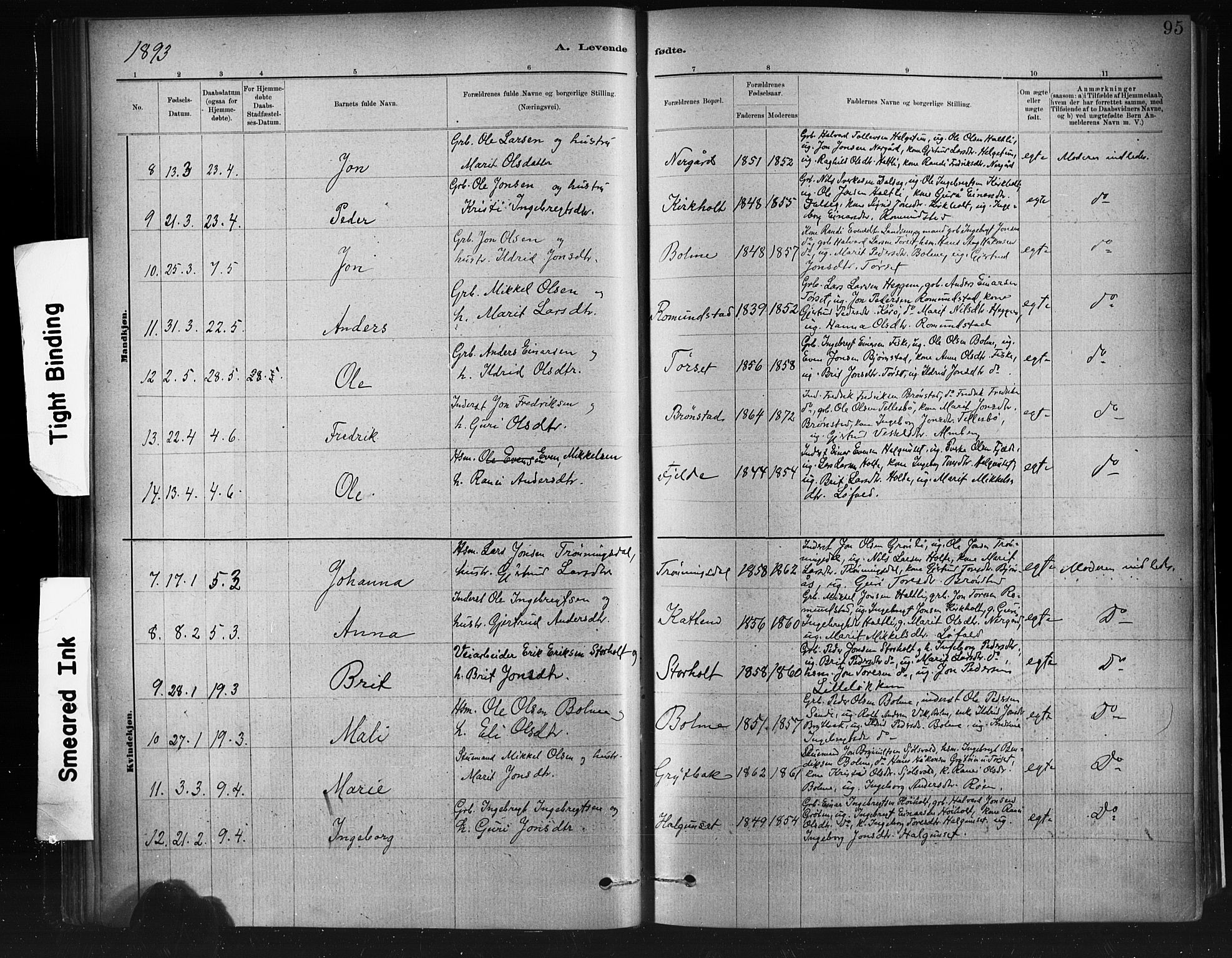 Ministerialprotokoller, klokkerbøker og fødselsregistre - Møre og Romsdal, AV/SAT-A-1454/598/L1069: Parish register (official) no. 598A03, 1882-1895, p. 95