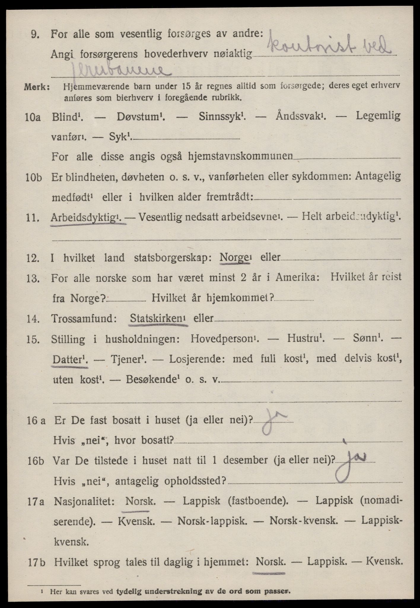 SAT, 1920 census for Strinda, 1920, p. 12637