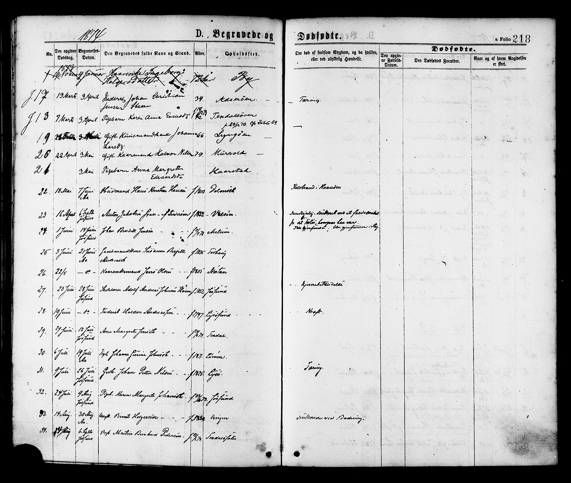 Ministerialprotokoller, klokkerbøker og fødselsregistre - Sør-Trøndelag, SAT/A-1456/655/L0679: Parish register (official) no. 655A08, 1873-1879, p. 218