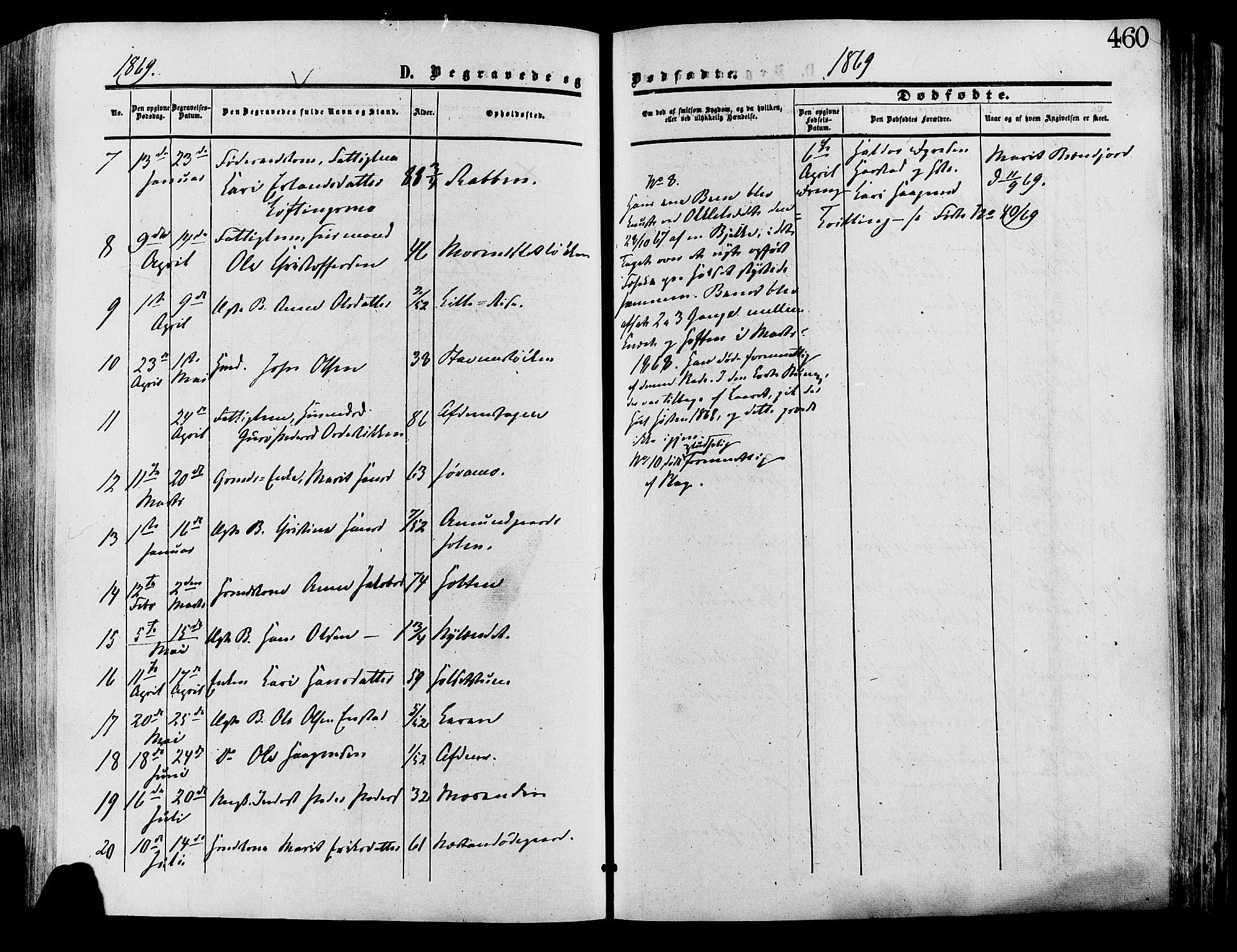 Lesja prestekontor, AV/SAH-PREST-068/H/Ha/Haa/L0008: Parish register (official) no. 8, 1854-1880, p. 460