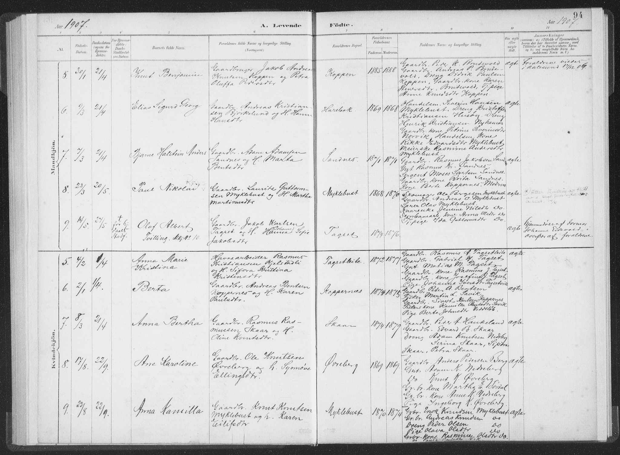 Ministerialprotokoller, klokkerbøker og fødselsregistre - Møre og Romsdal, AV/SAT-A-1454/502/L0025: Parish register (official) no. 502A03, 1885-1909, p. 94