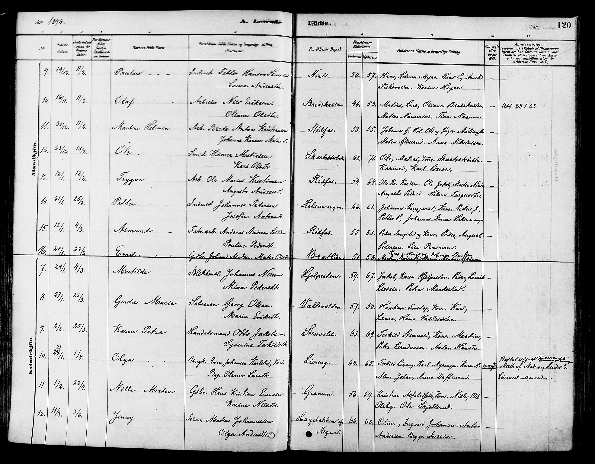 Vestre Toten prestekontor, SAH/PREST-108/H/Ha/Haa/L0009: Parish register (official) no. 9, 1878-1894, p. 120