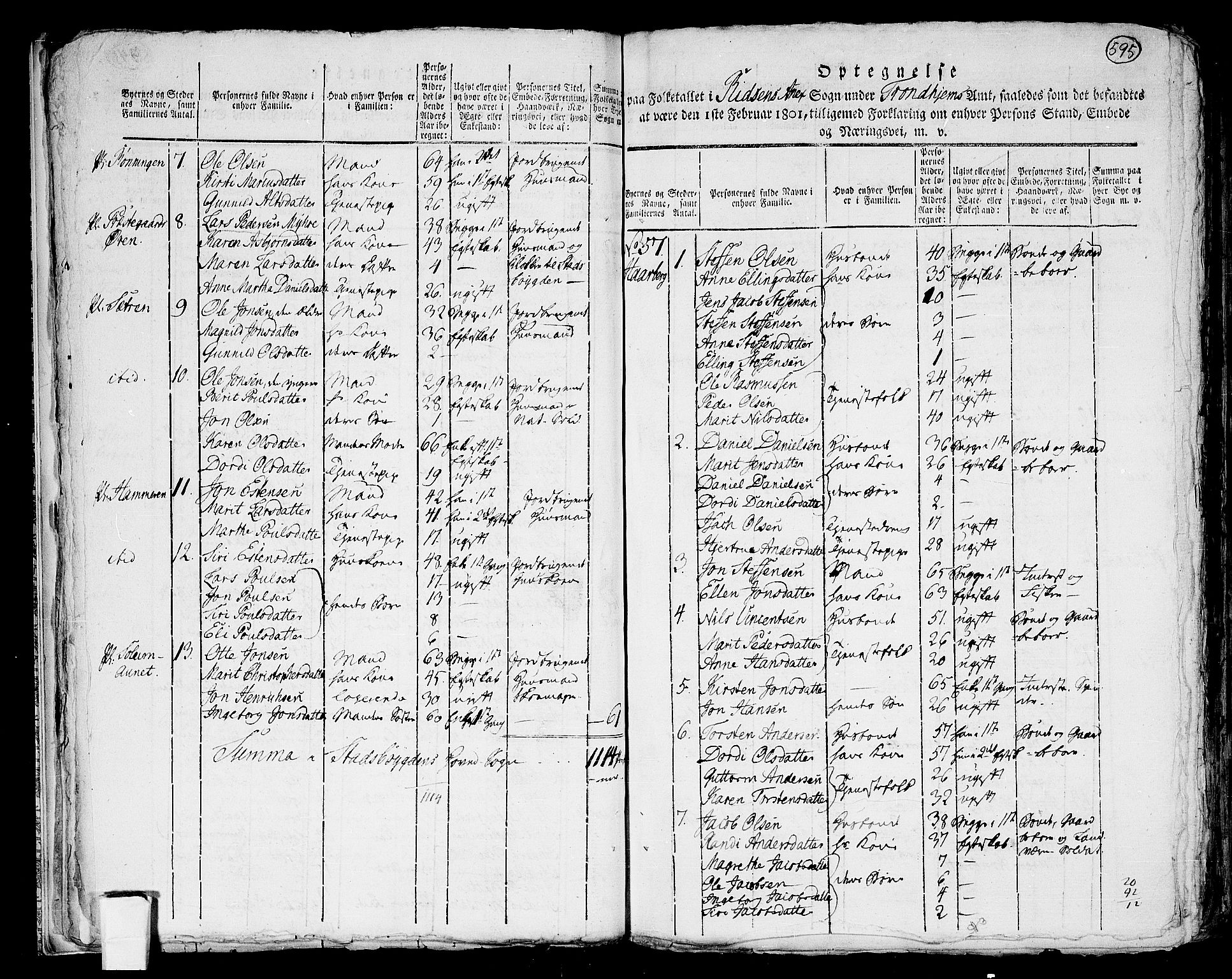 RA, 1801 census for 1625P Stadsbygd, 1801, p. 594b-595a