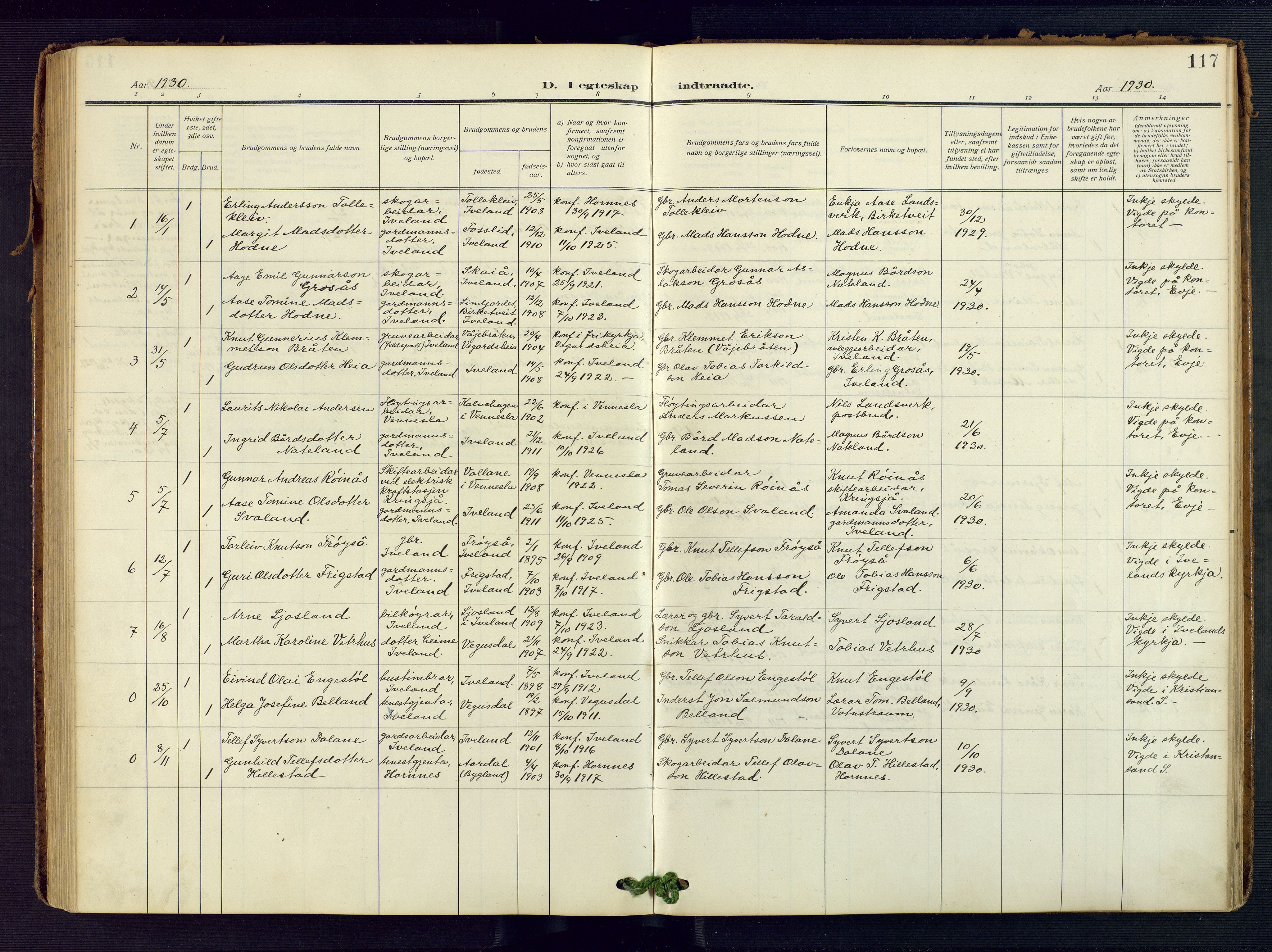 Evje sokneprestkontor, AV/SAK-1111-0008/F/Fa/Fac/L0004: Parish register (official) no. A 4, 1910-1932, p. 117