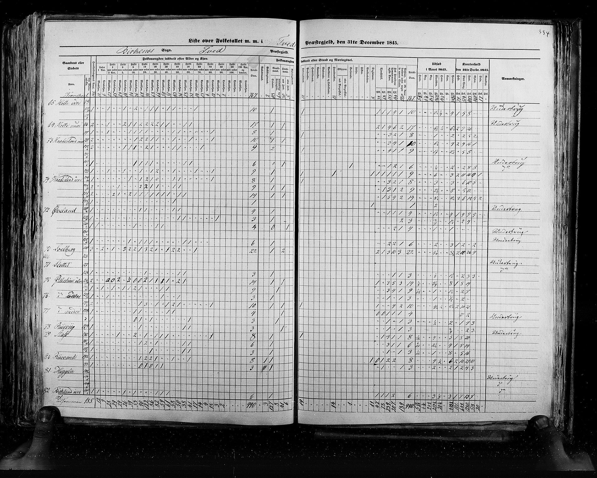 RA, Census 1845, vol. 5: Bratsberg amt og Nedenes og Råbyggelaget amt, 1845, p. 334