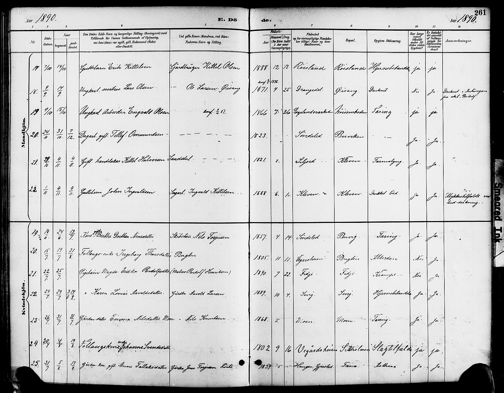 Søndeled sokneprestkontor, AV/SAK-1111-0038/F/Fa/L0005: Parish register (official) no. A 5, 1889-1899, p. 261