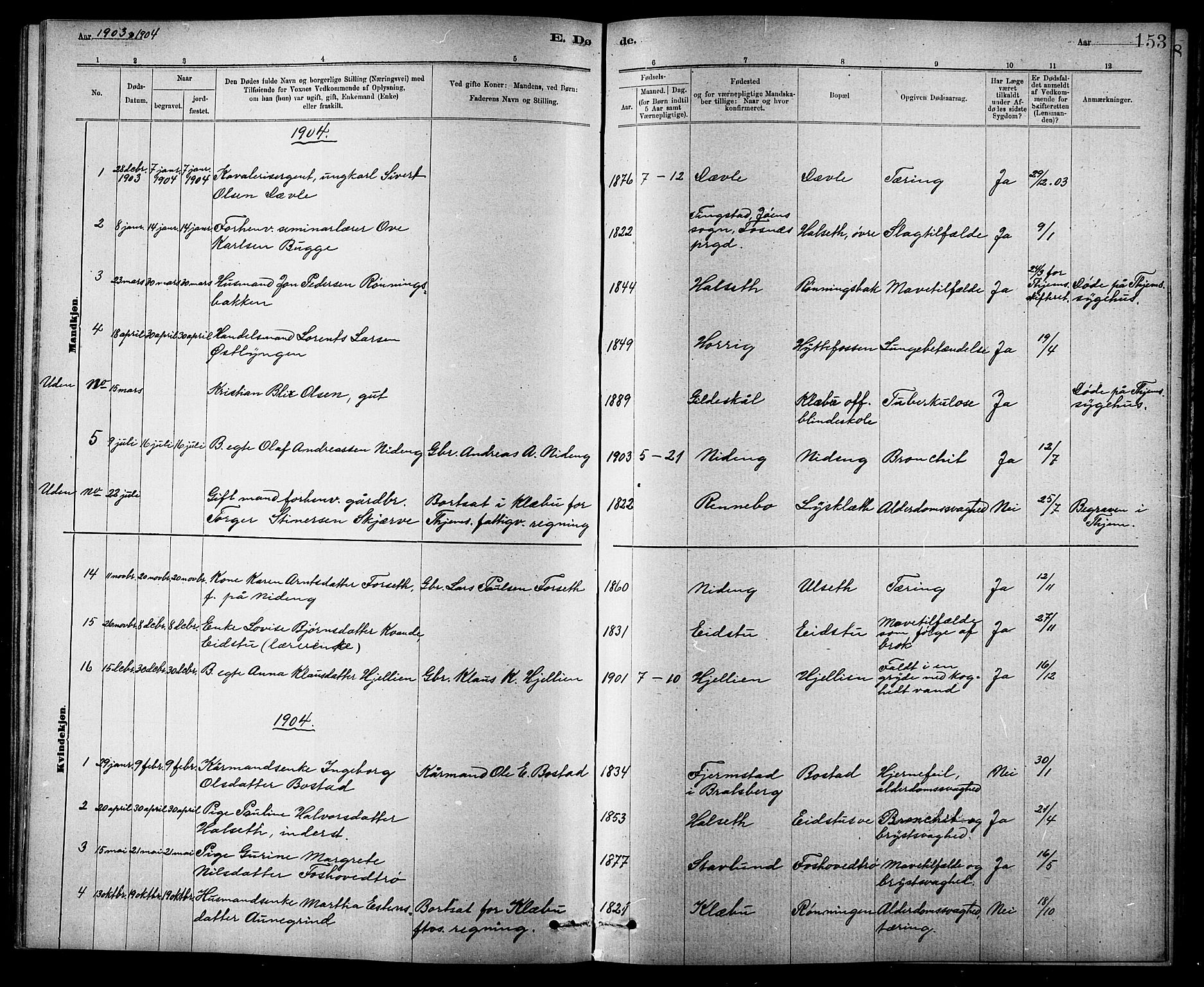 Ministerialprotokoller, klokkerbøker og fødselsregistre - Sør-Trøndelag, SAT/A-1456/618/L0452: Parish register (copy) no. 618C03, 1884-1906, p. 153