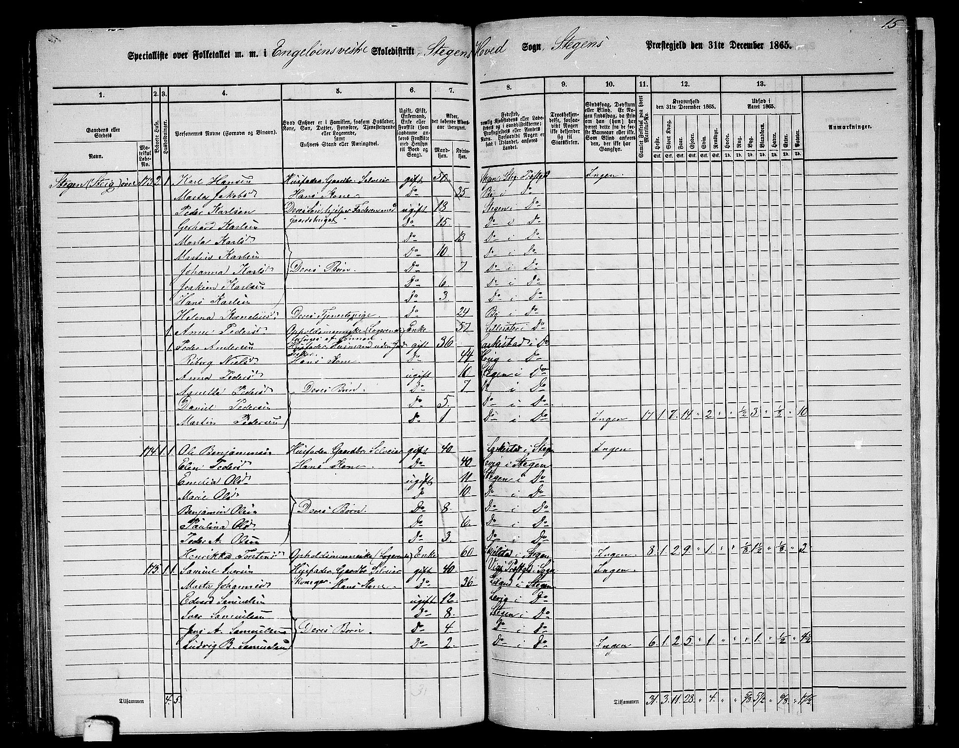 RA, 1865 census for Steigen, 1865, p. 103