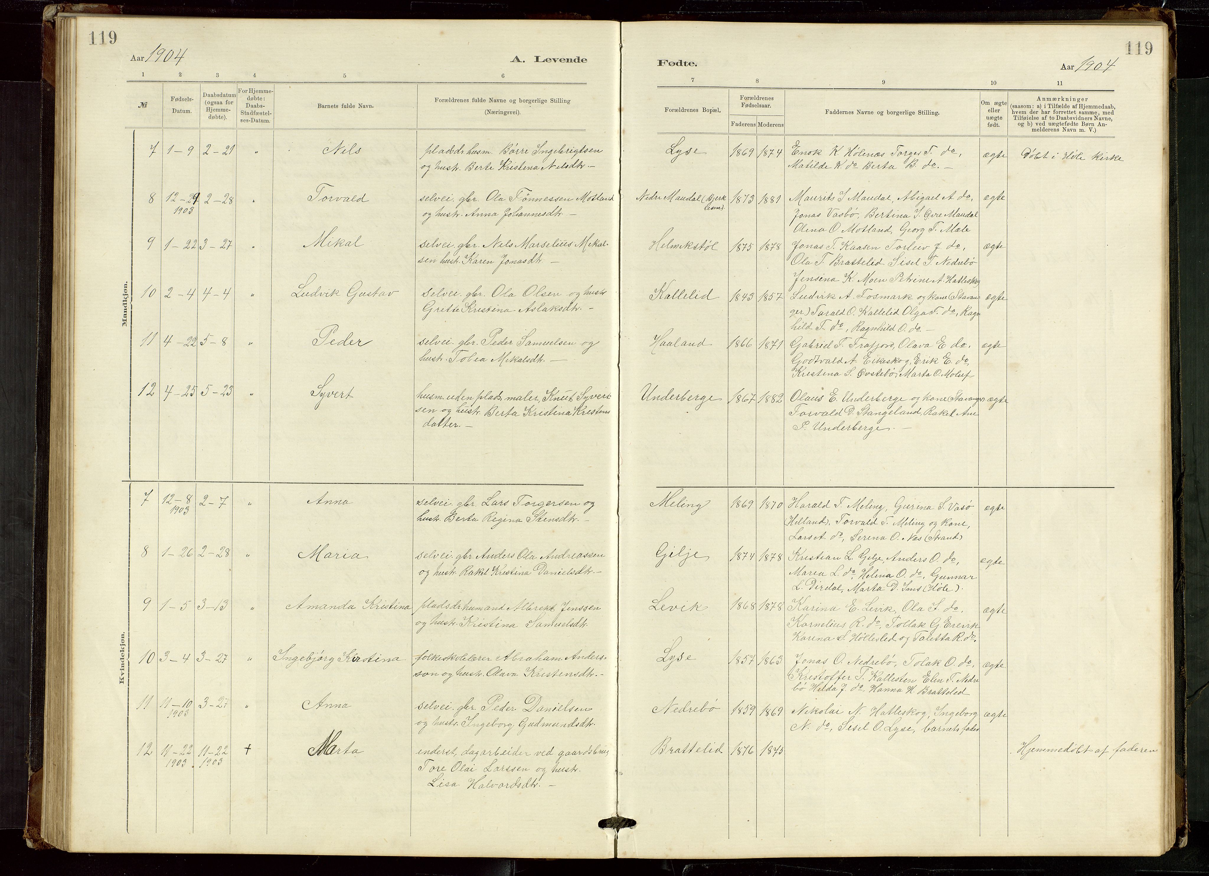 Høgsfjord sokneprestkontor, SAST/A-101624/H/Ha/Hab/L0009: Parish register (copy) no. B 9, 1883-1920, p. 119