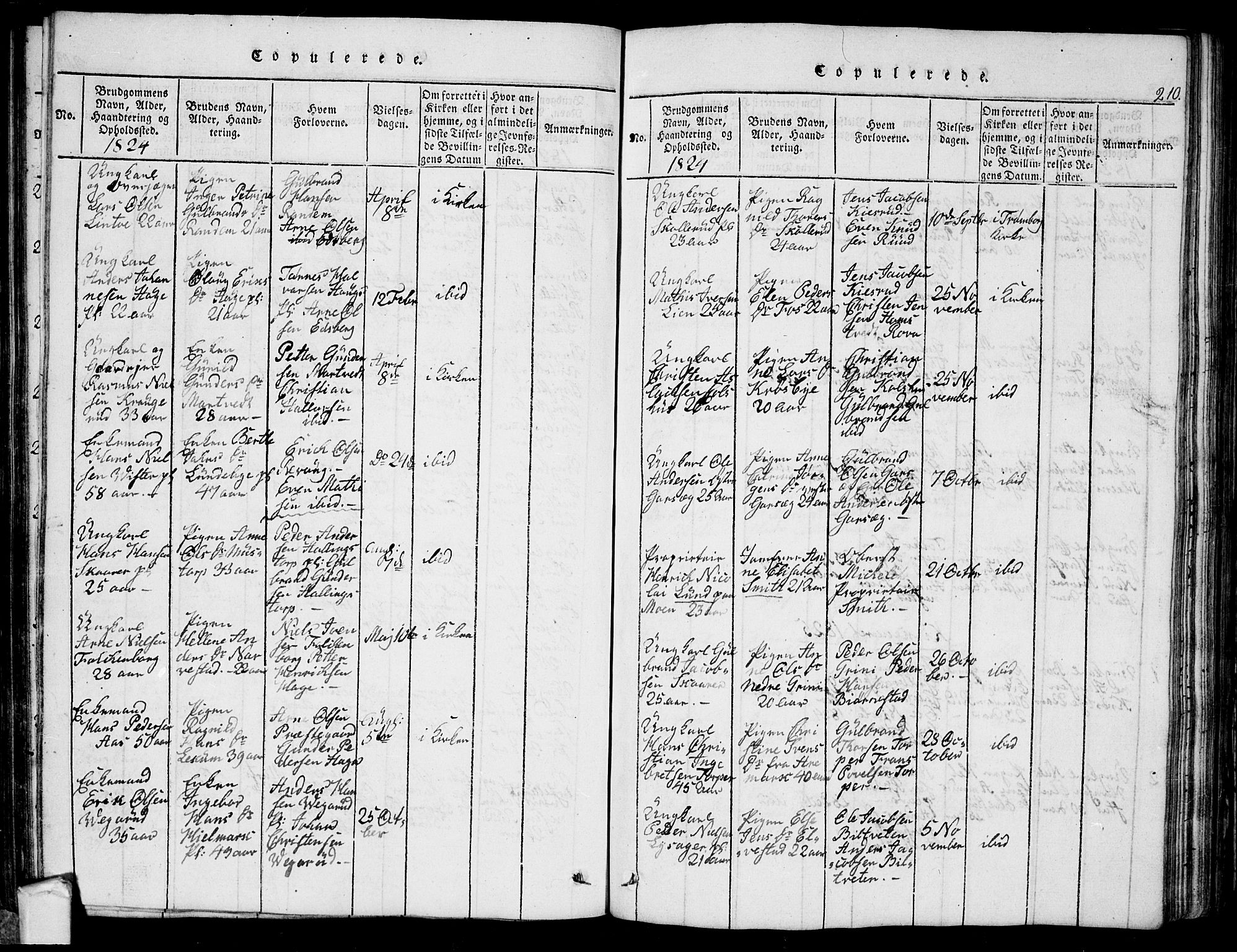 Eidsberg prestekontor Kirkebøker, SAO/A-10905/G/Ga/L0001: Parish register (copy) no. I 1, 1814-1831, p. 210