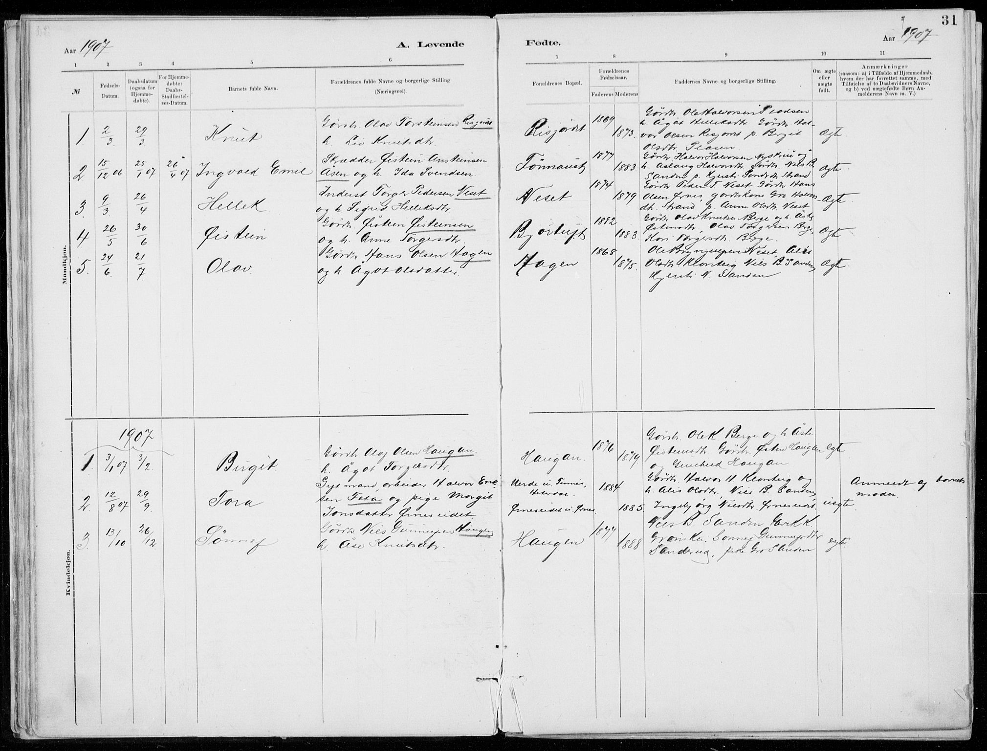 Tinn kirkebøker, AV/SAKO-A-308/F/Fb/L0002: Parish register (official) no. II 2, 1878-1917, p. 31