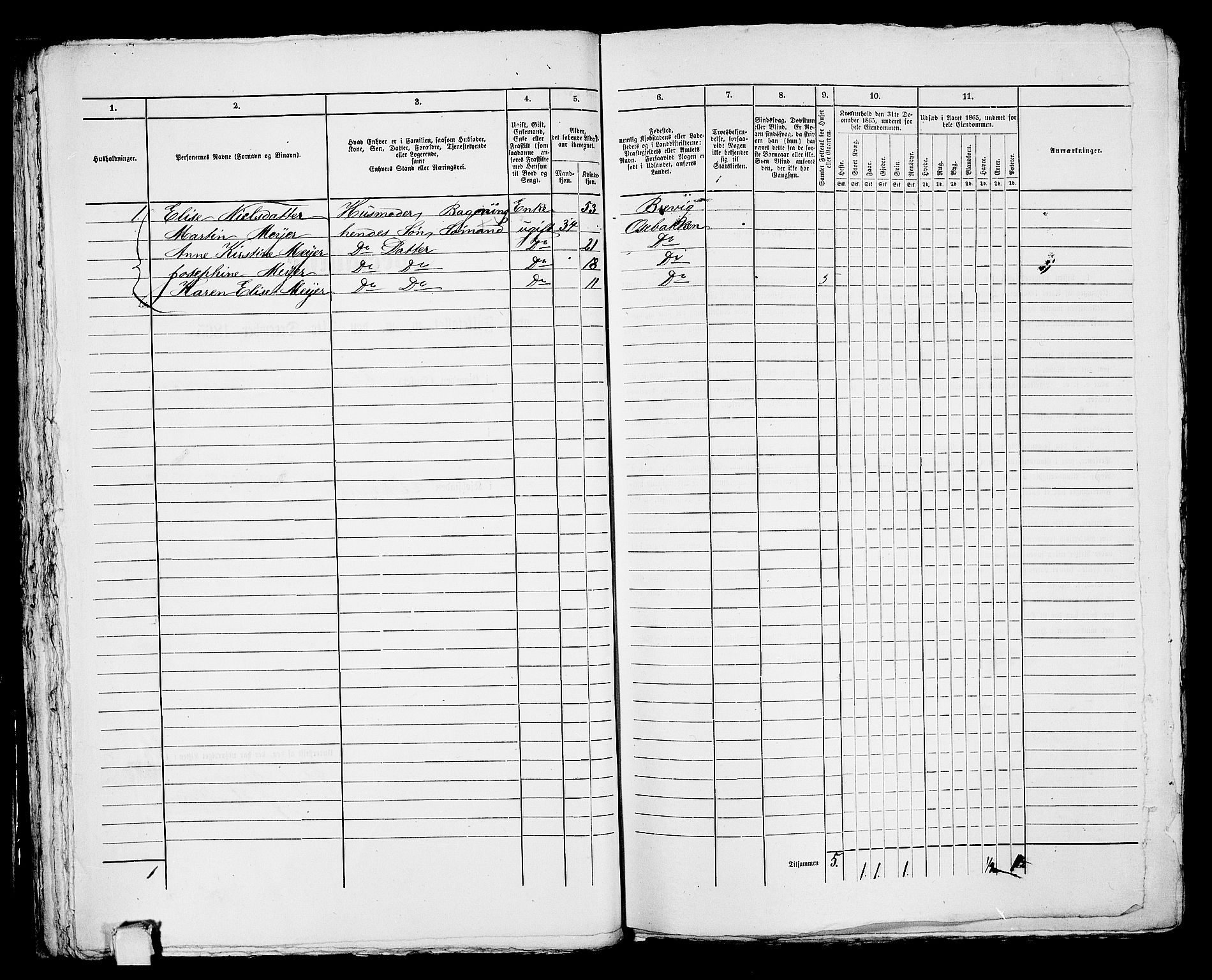 RA, 1865 census for Porsgrunn, 1865, p. 491