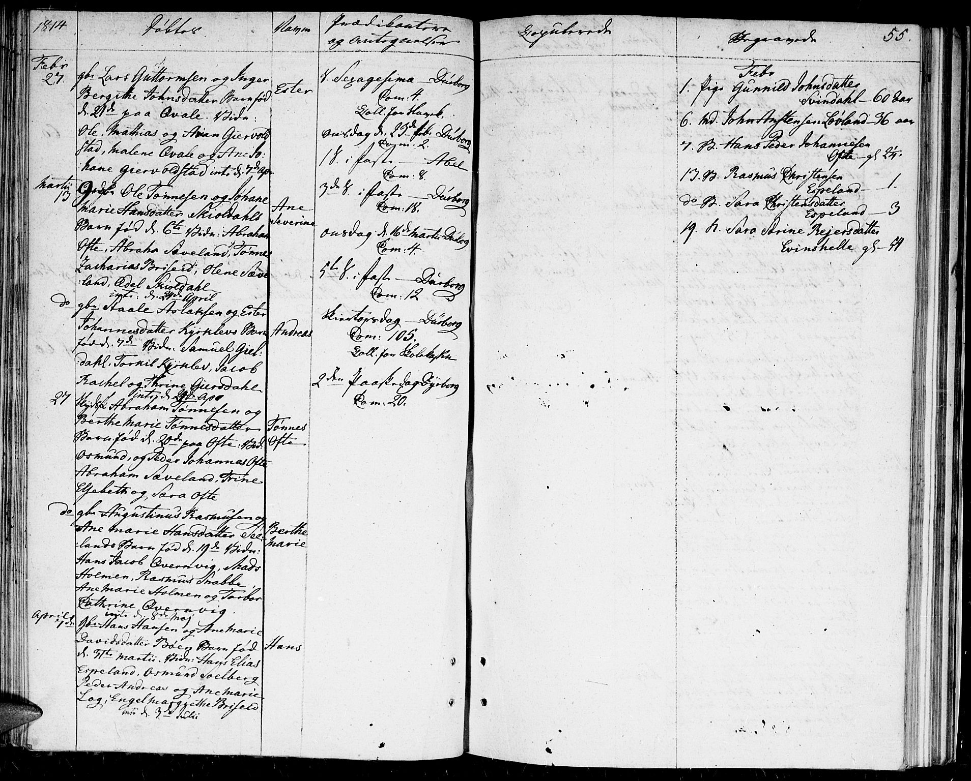 Herad sokneprestkontor, AV/SAK-1111-0018/F/Fa/Faa/L0002: Parish register (official) no. A 2, 1800-1815, p. 55