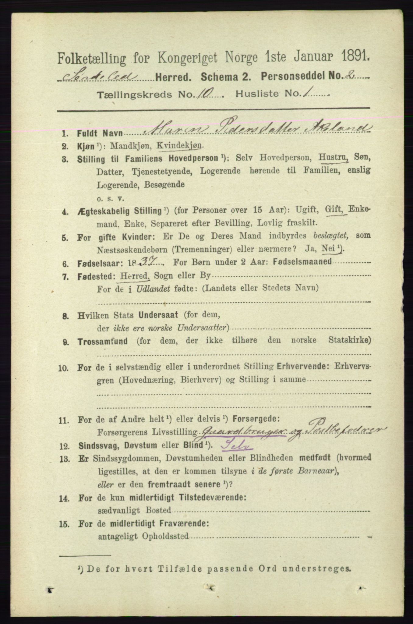 RA, 1891 census for 0913 Søndeled, 1891, p. 3066