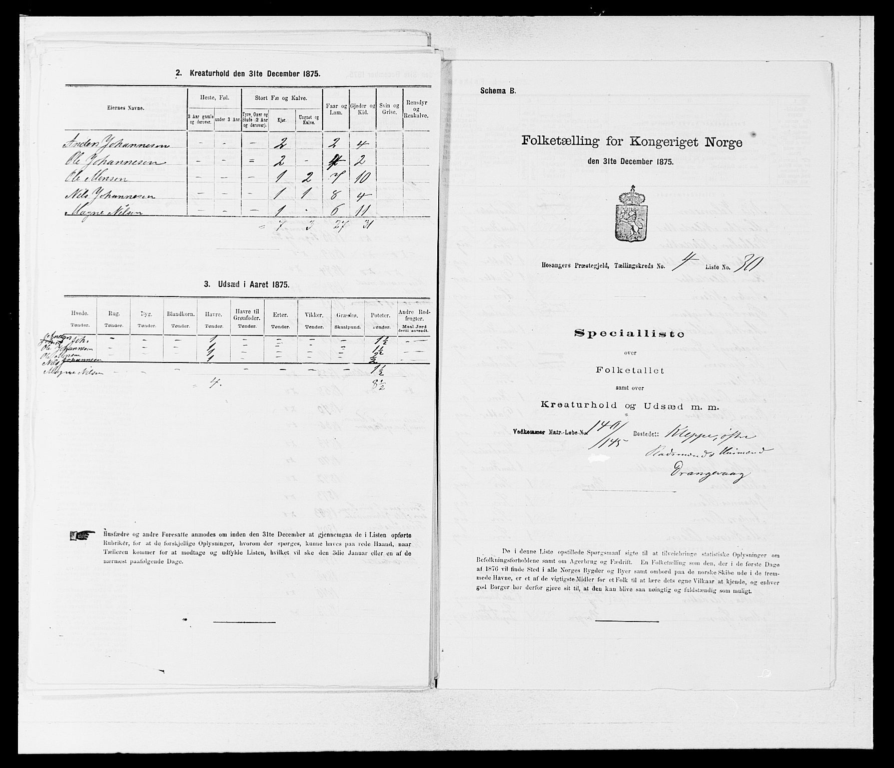 SAB, 1875 census for 1253P Hosanger, 1875, p. 419