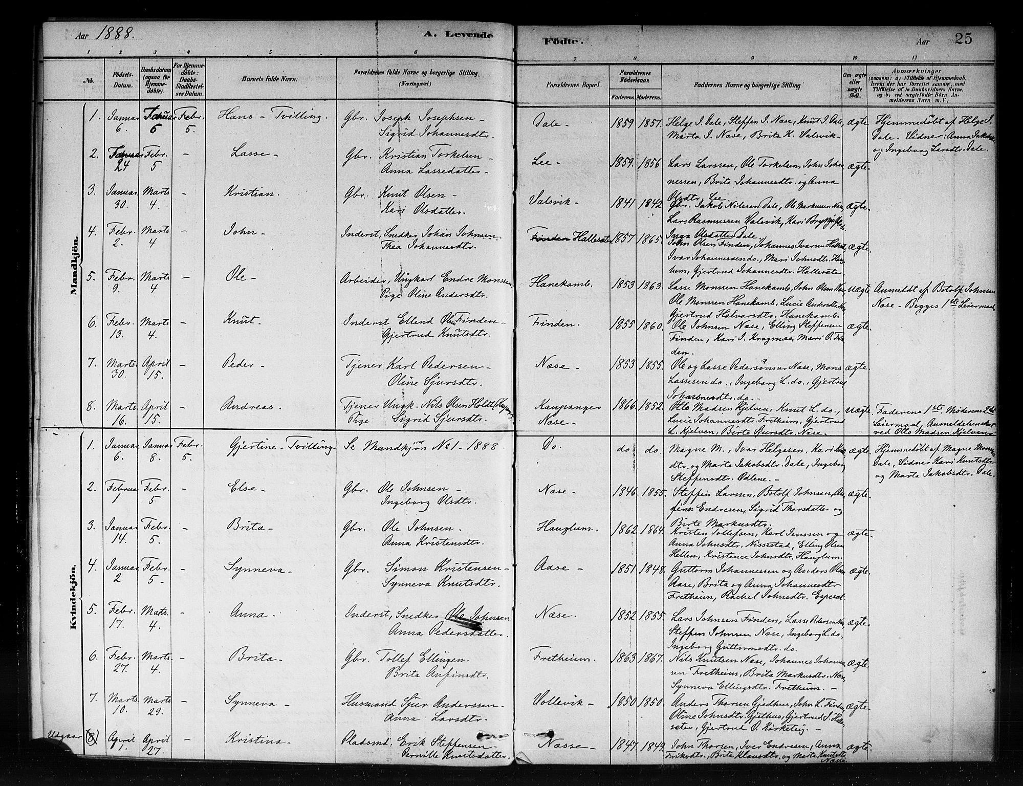 Vik sokneprestembete, AV/SAB-A-81501/H/Haa/Haac/L0001: Parish register (official) no. C 1, 1878-1890, p. 25