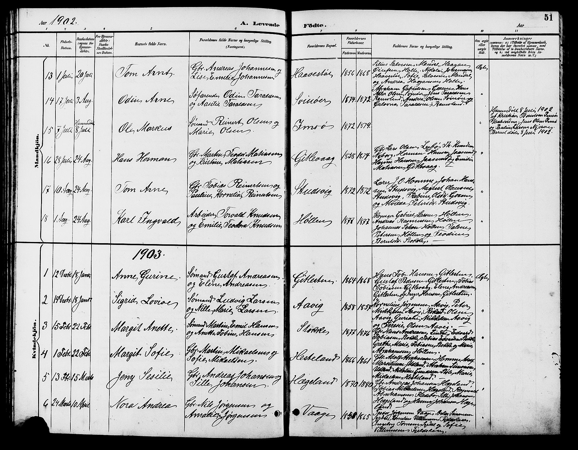 Sør-Audnedal sokneprestkontor, AV/SAK-1111-0039/F/Fb/Fba/L0004: Parish register (copy) no. B 4, 1893-1909, p. 51