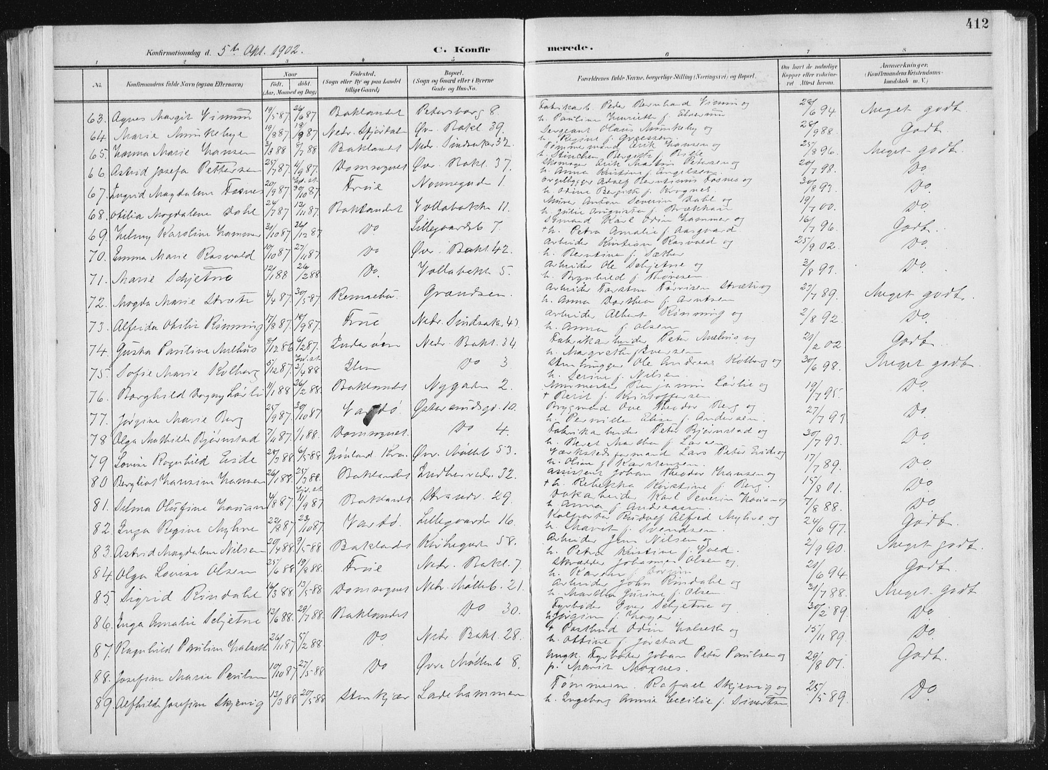 Ministerialprotokoller, klokkerbøker og fødselsregistre - Sør-Trøndelag, AV/SAT-A-1456/604/L0200: Parish register (official) no. 604A20II, 1901-1908, p. 412
