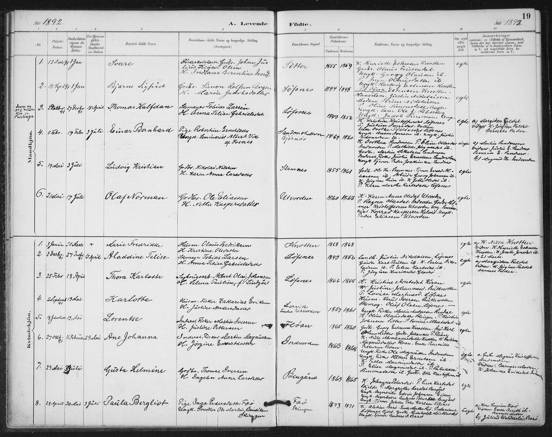 Ministerialprotokoller, klokkerbøker og fødselsregistre - Nord-Trøndelag, SAT/A-1458/772/L0603: Parish register (official) no. 772A01, 1885-1912, p. 19