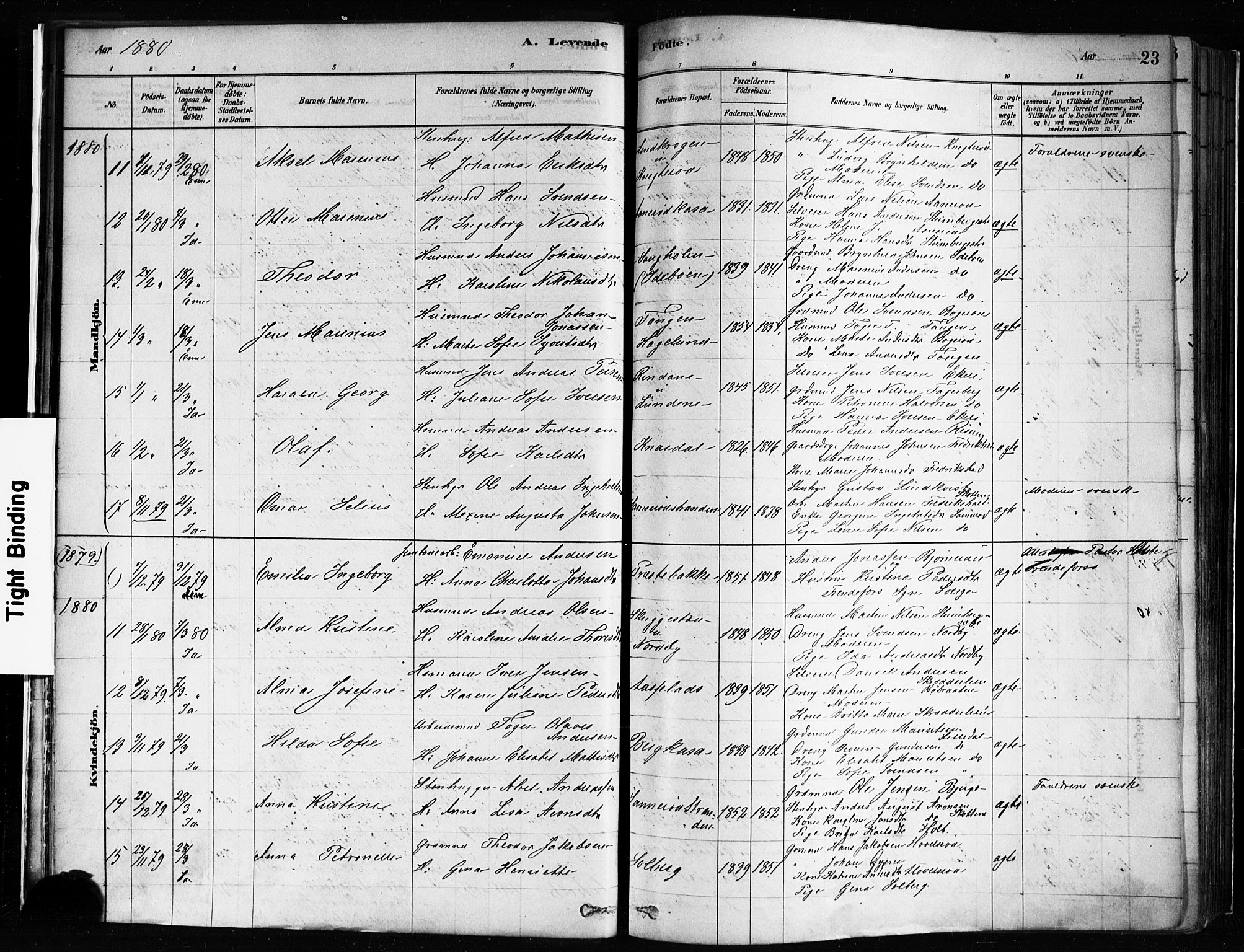 Idd prestekontor Kirkebøker, AV/SAO-A-10911/F/Fc/L0006a: Parish register (official) no. III 6A, 1878-1903, p. 23