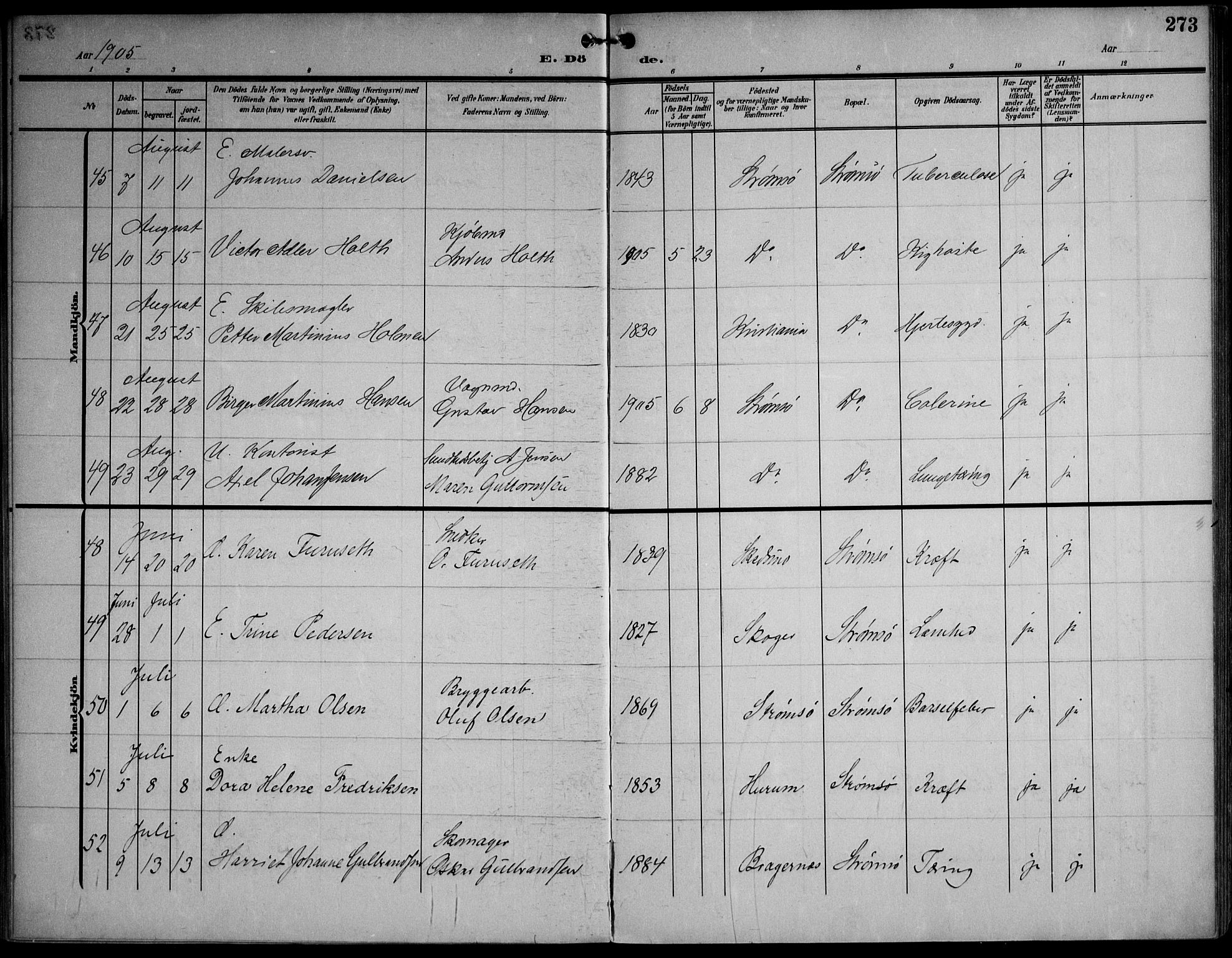 Strømsø kirkebøker, AV/SAKO-A-246/F/Fa/L0026: Parish register (official) no. I 26, 1905-1914, p. 273