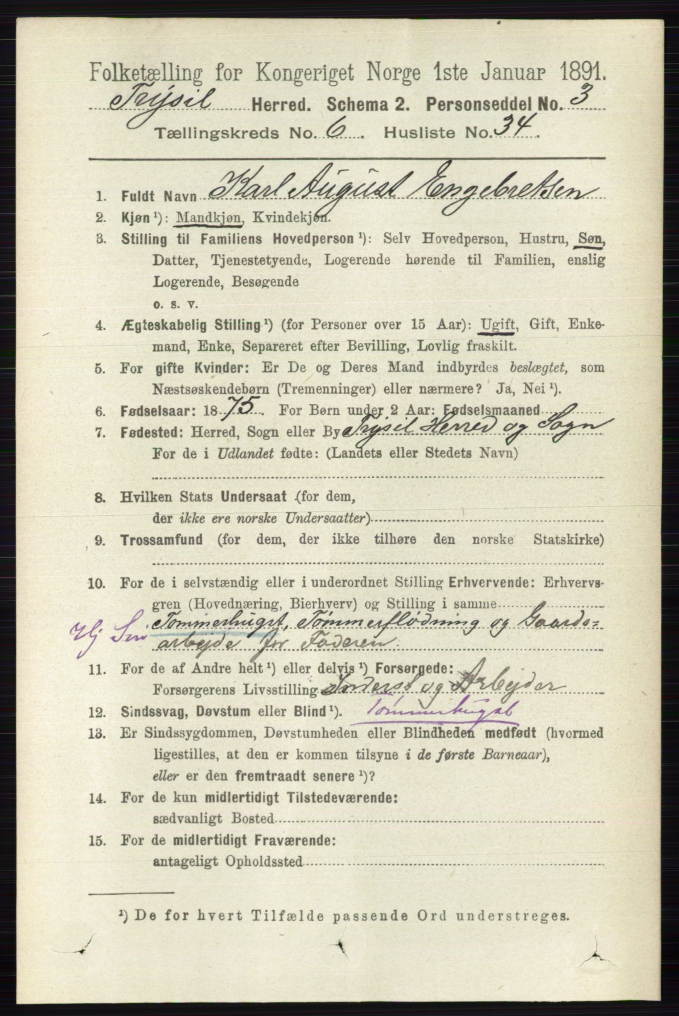 RA, 1891 census for 0428 Trysil, 1891, p. 3066