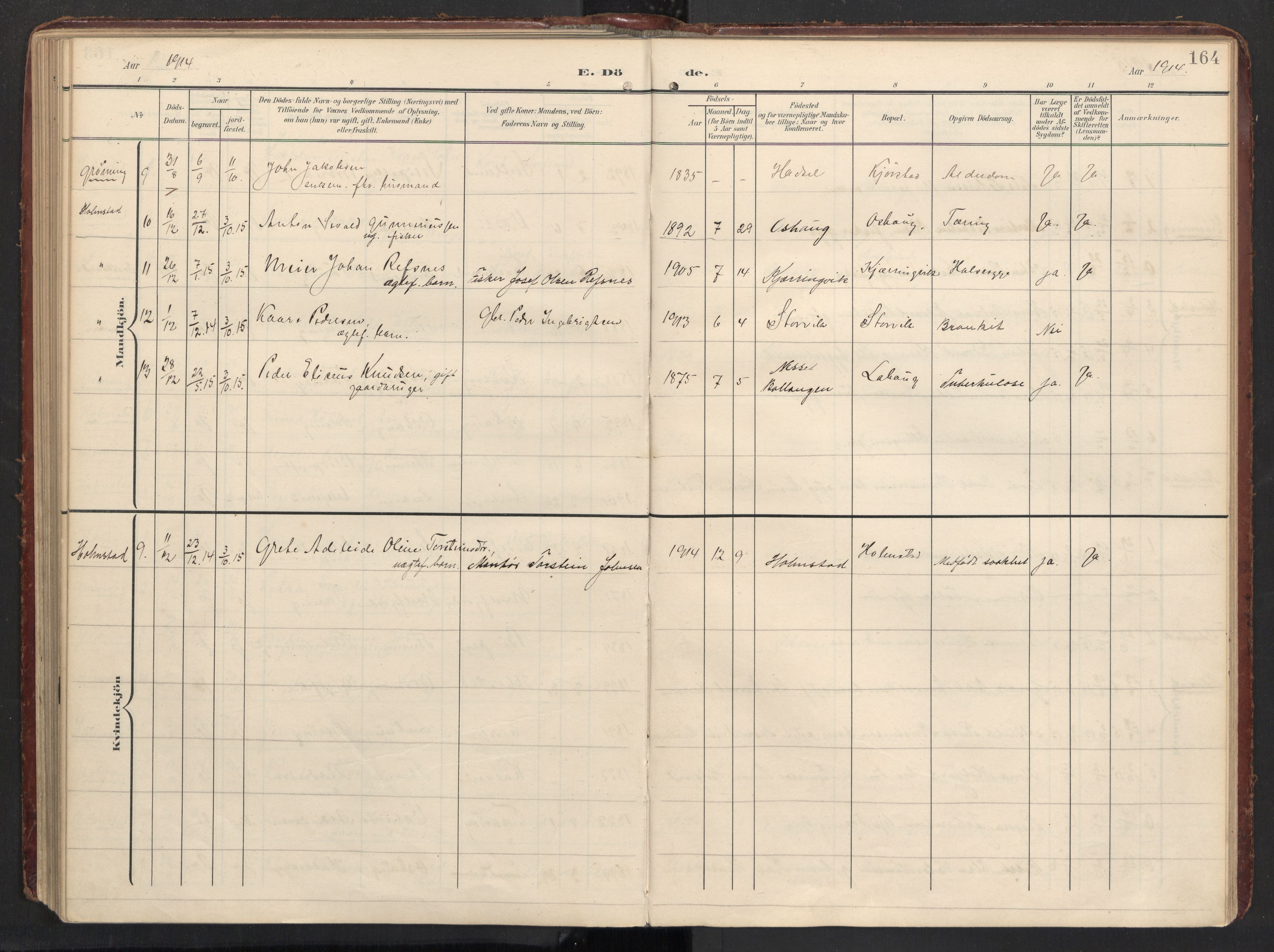 Ministerialprotokoller, klokkerbøker og fødselsregistre - Nordland, AV/SAT-A-1459/890/L1287: Parish register (official) no. 890A02, 1903-1915, p. 164