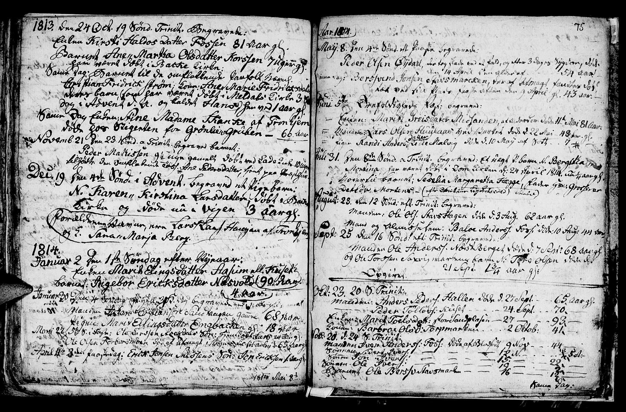 Ministerialprotokoller, klokkerbøker og fødselsregistre - Sør-Trøndelag, SAT/A-1456/616/L0419: Parish register (copy) no. 616C02, 1797-1816, p. 75