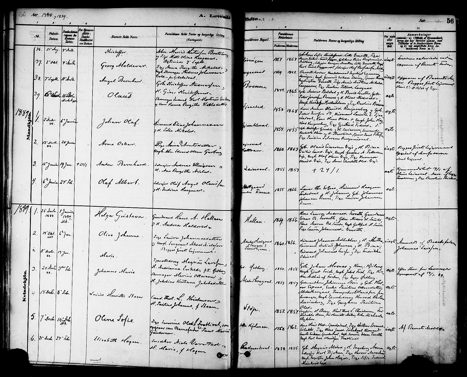 Ministerialprotokoller, klokkerbøker og fødselsregistre - Nord-Trøndelag, SAT/A-1458/717/L0159: Parish register (official) no. 717A09, 1878-1898, p. 56