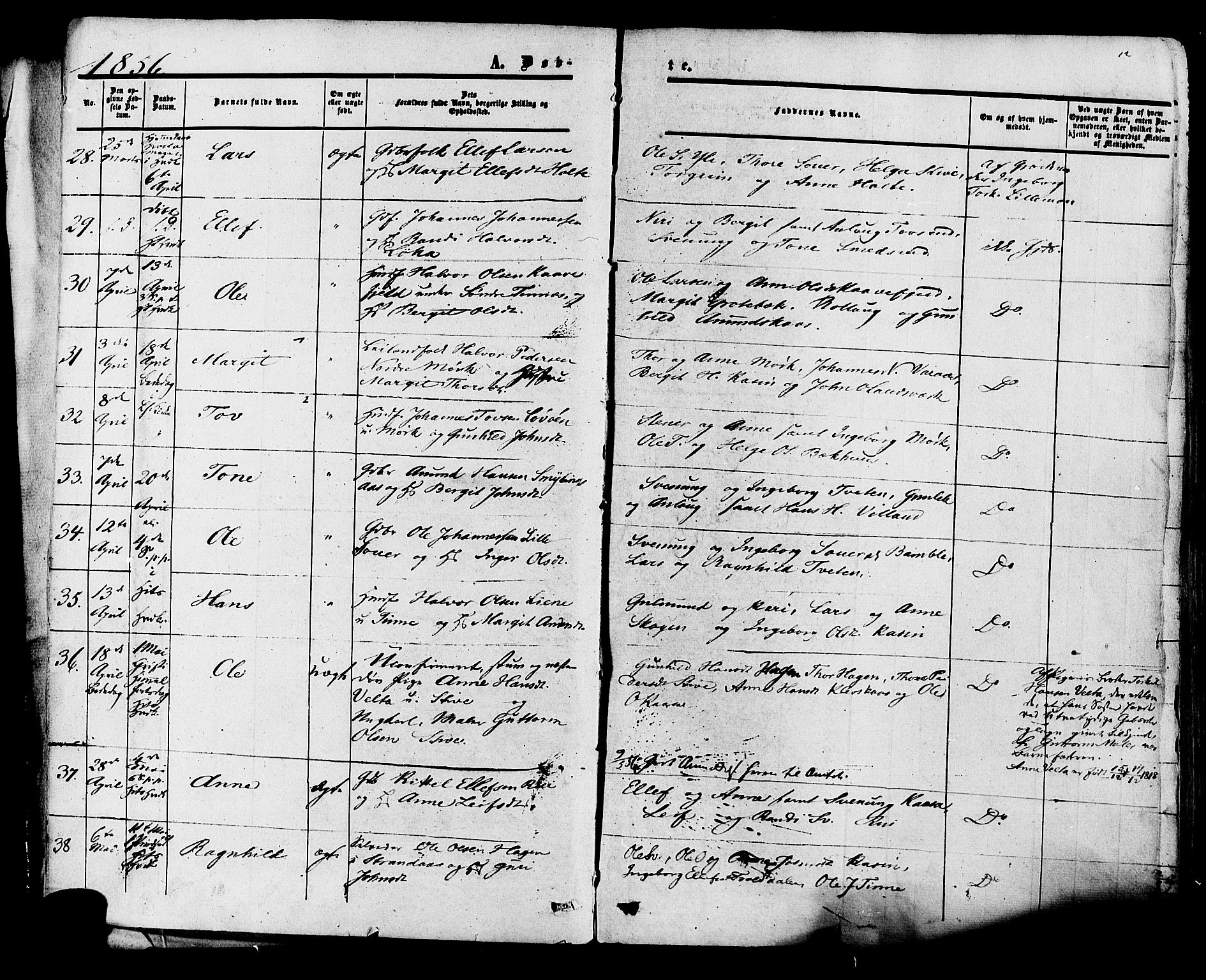 Heddal kirkebøker, AV/SAKO-A-268/F/Fa/L0007: Parish register (official) no. I 7, 1855-1877, p. 12