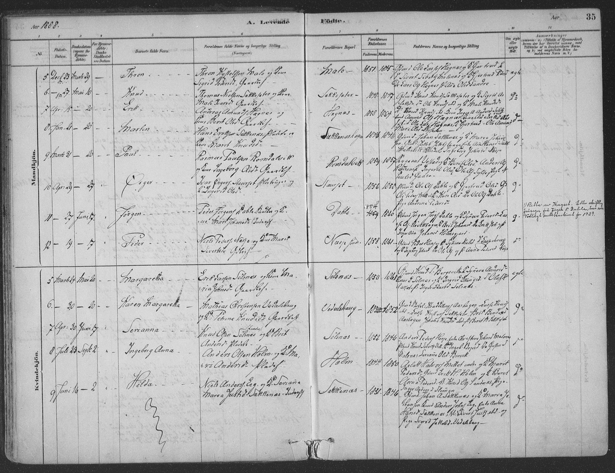 Ministerialprotokoller, klokkerbøker og fødselsregistre - Møre og Romsdal, AV/SAT-A-1454/547/L0604: Parish register (official) no. 547A06, 1878-1906, p. 35