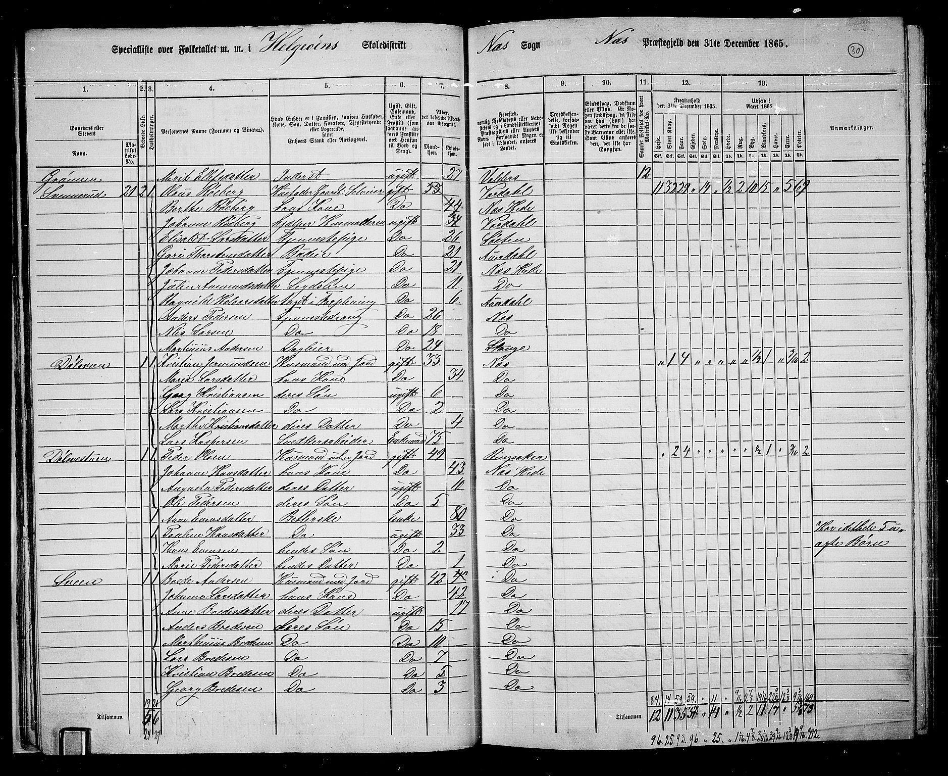 RA, 1865 census for Nes, 1865, p. 28