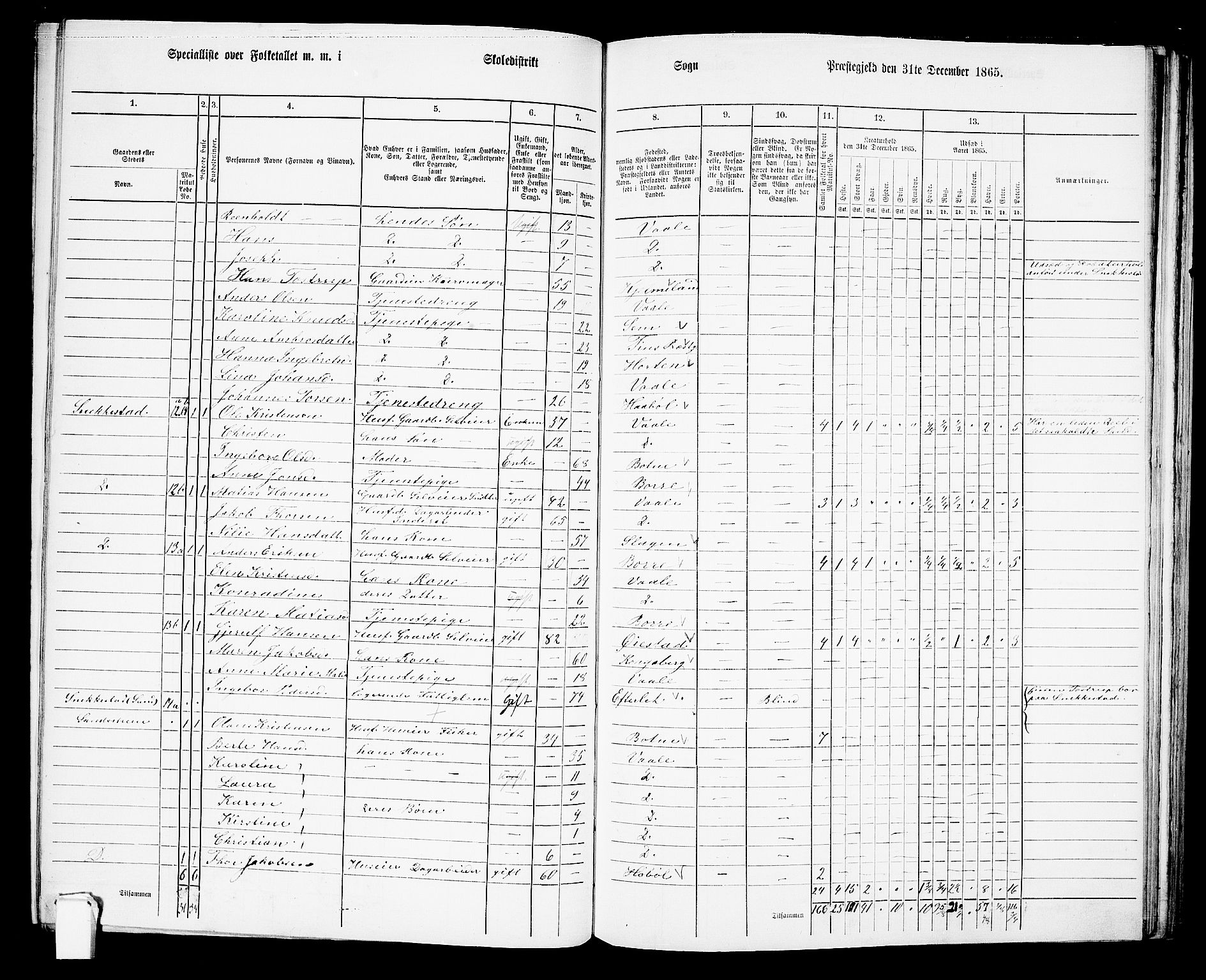 RA, 1865 census for Våle, 1865, p. 17