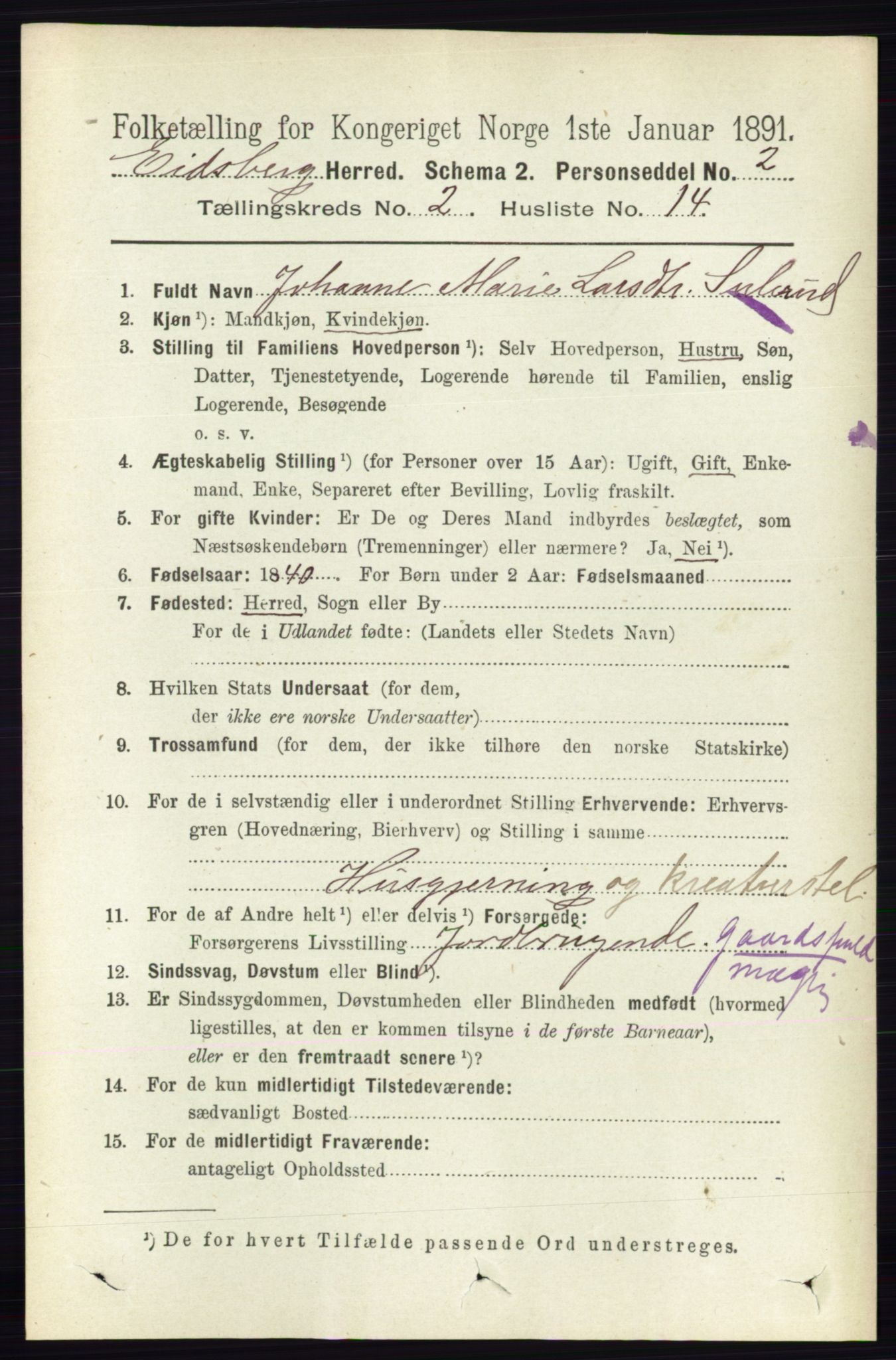 RA, 1891 census for 0125 Eidsberg, 1891, p. 905