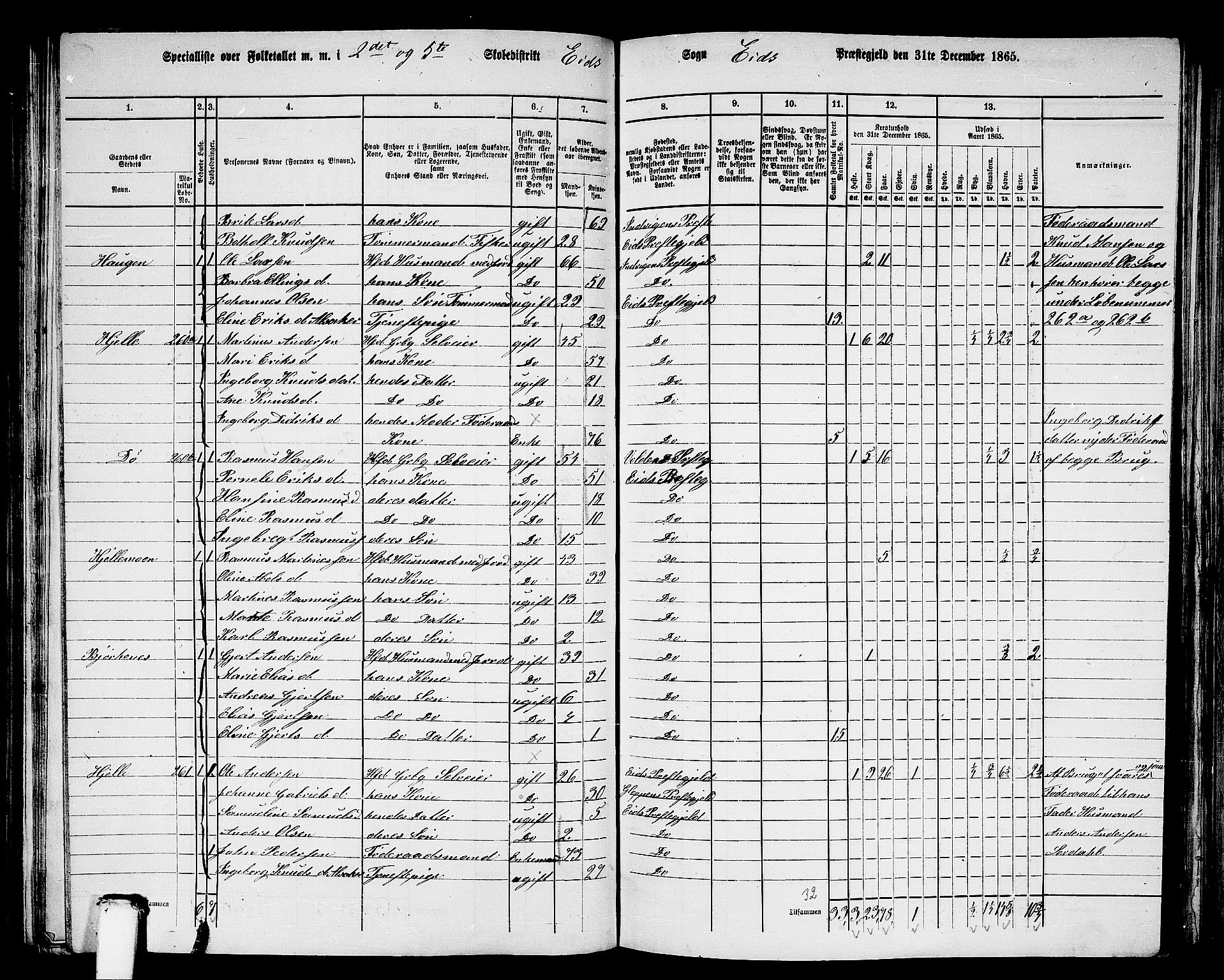 RA, 1865 census for Eid, 1865, p. 104